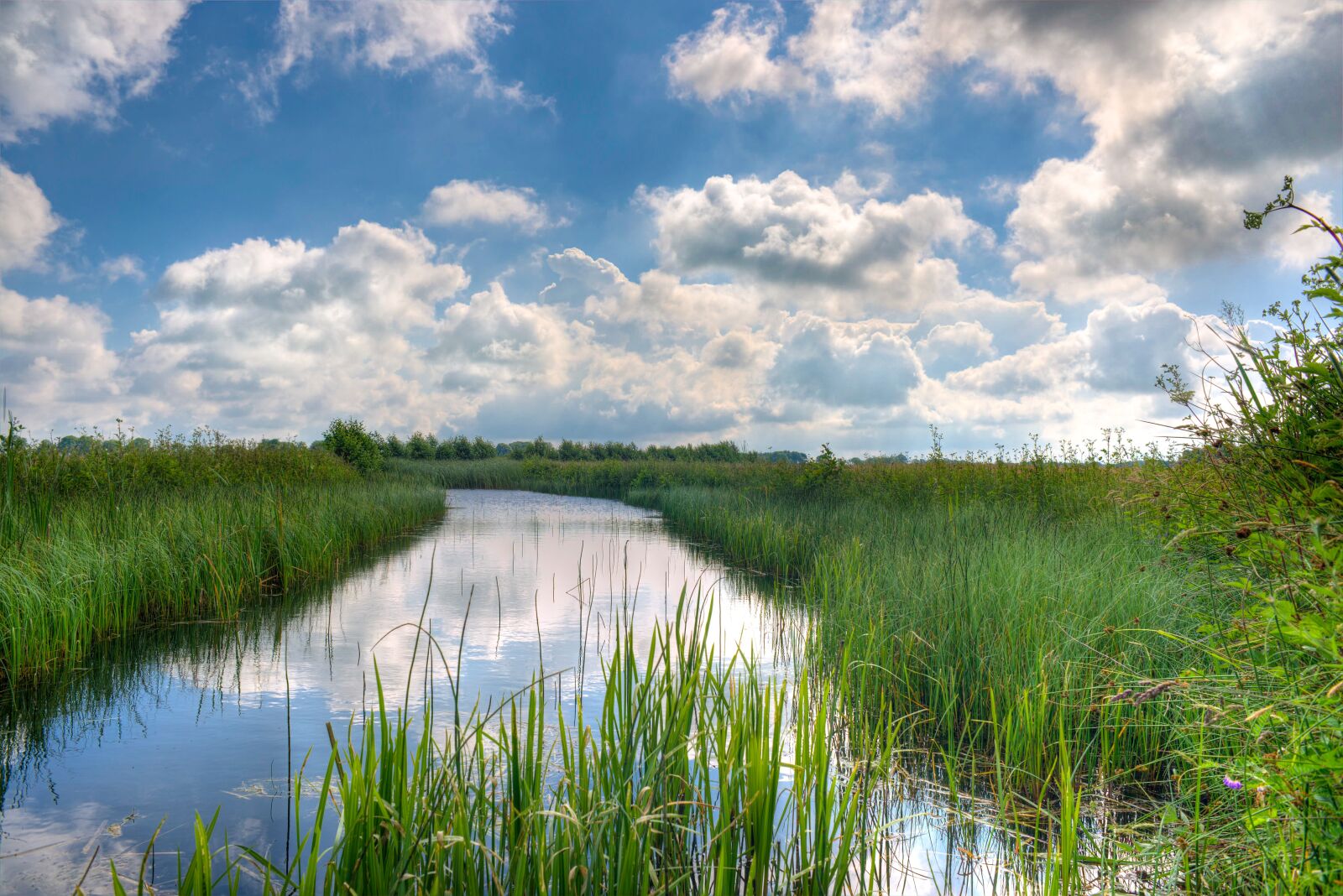 Nikon D610 sample photo. Sky, blue, green photography