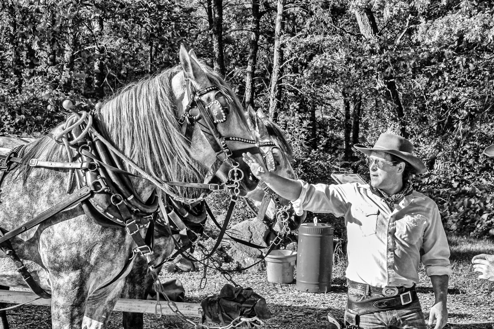 Canon EOS 1100D (EOS Rebel T3 / EOS Kiss X50) sample photo. People, adult, cavalry photography