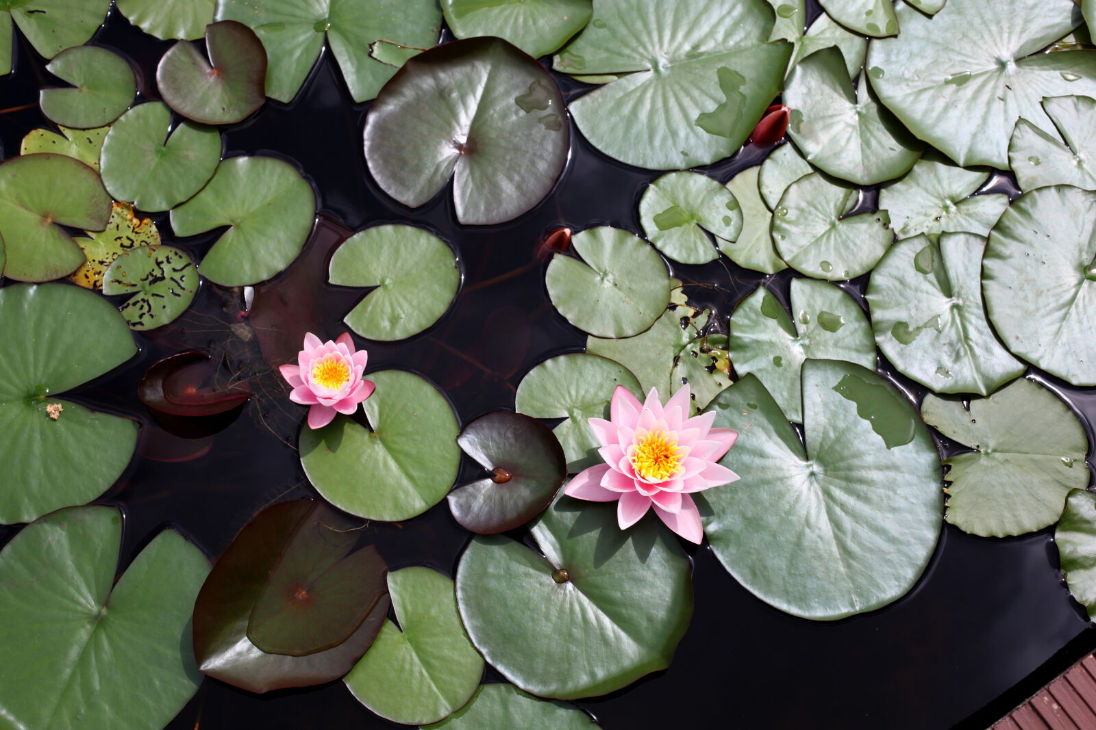 Canon EOS 5D Mark II sample photo