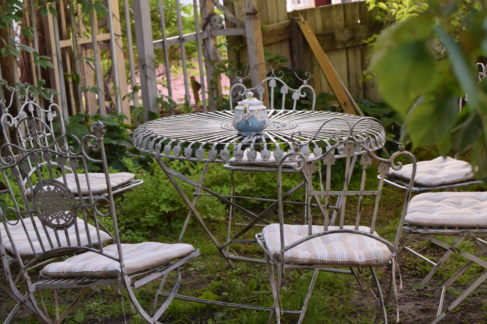 Nikon D3300 sample photo. Table, a park, tea photography