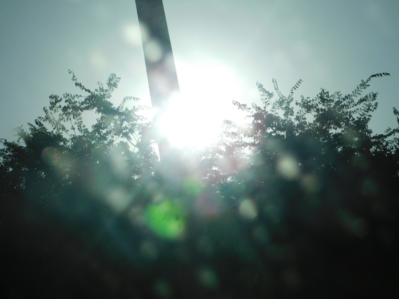 Nikon Coolpix B500 sample photo