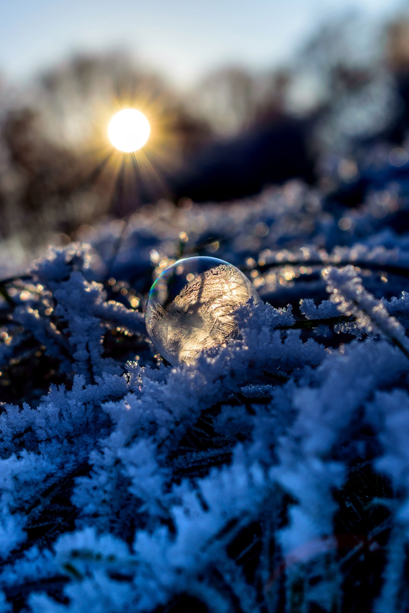 Nikon D5300 sample photo. Soap bubble, seifenblase frozen photography