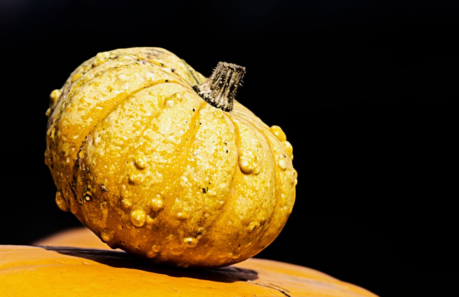 Nikon D7200 sample photo. Pumpkins, colorful, autumn photography