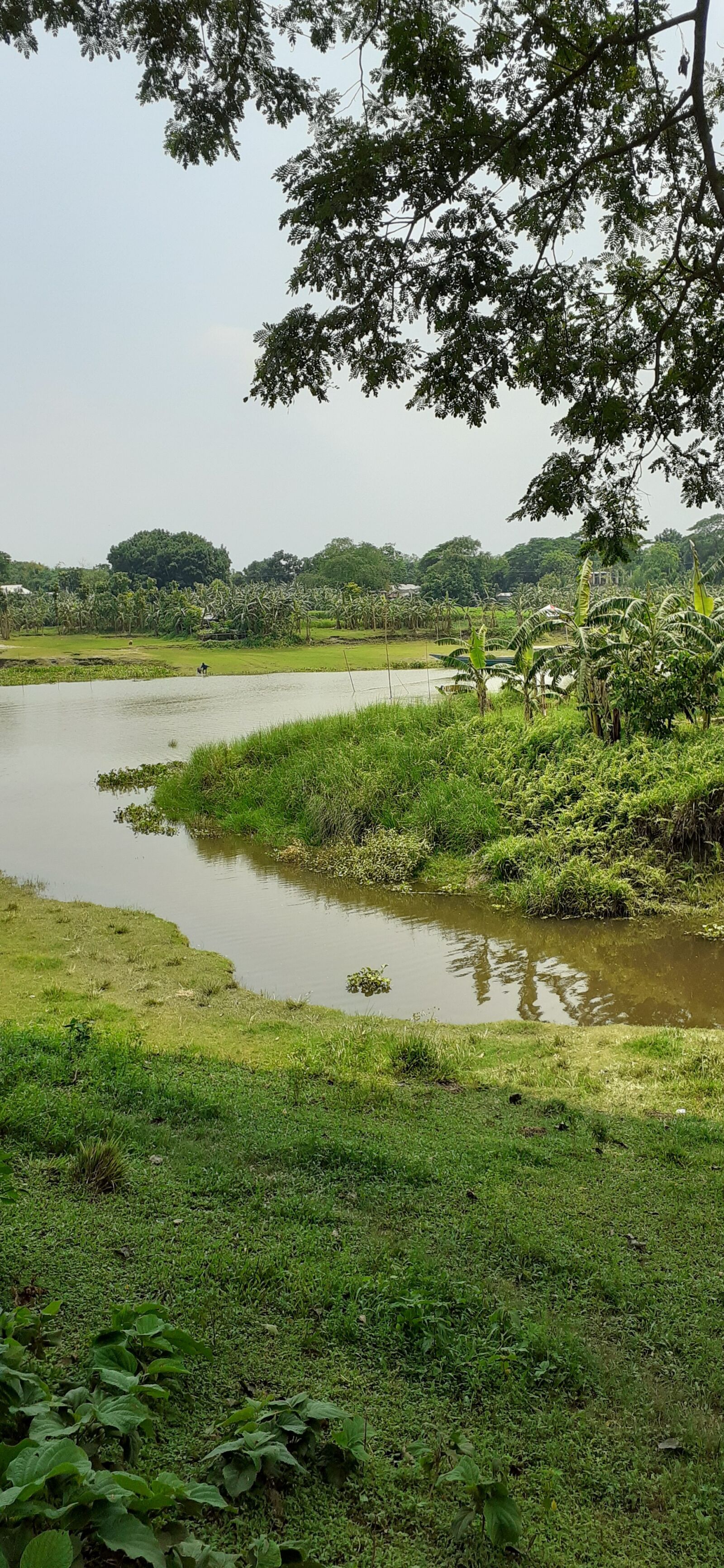 Samsung SM-M205F sample photo. River, green river side photography