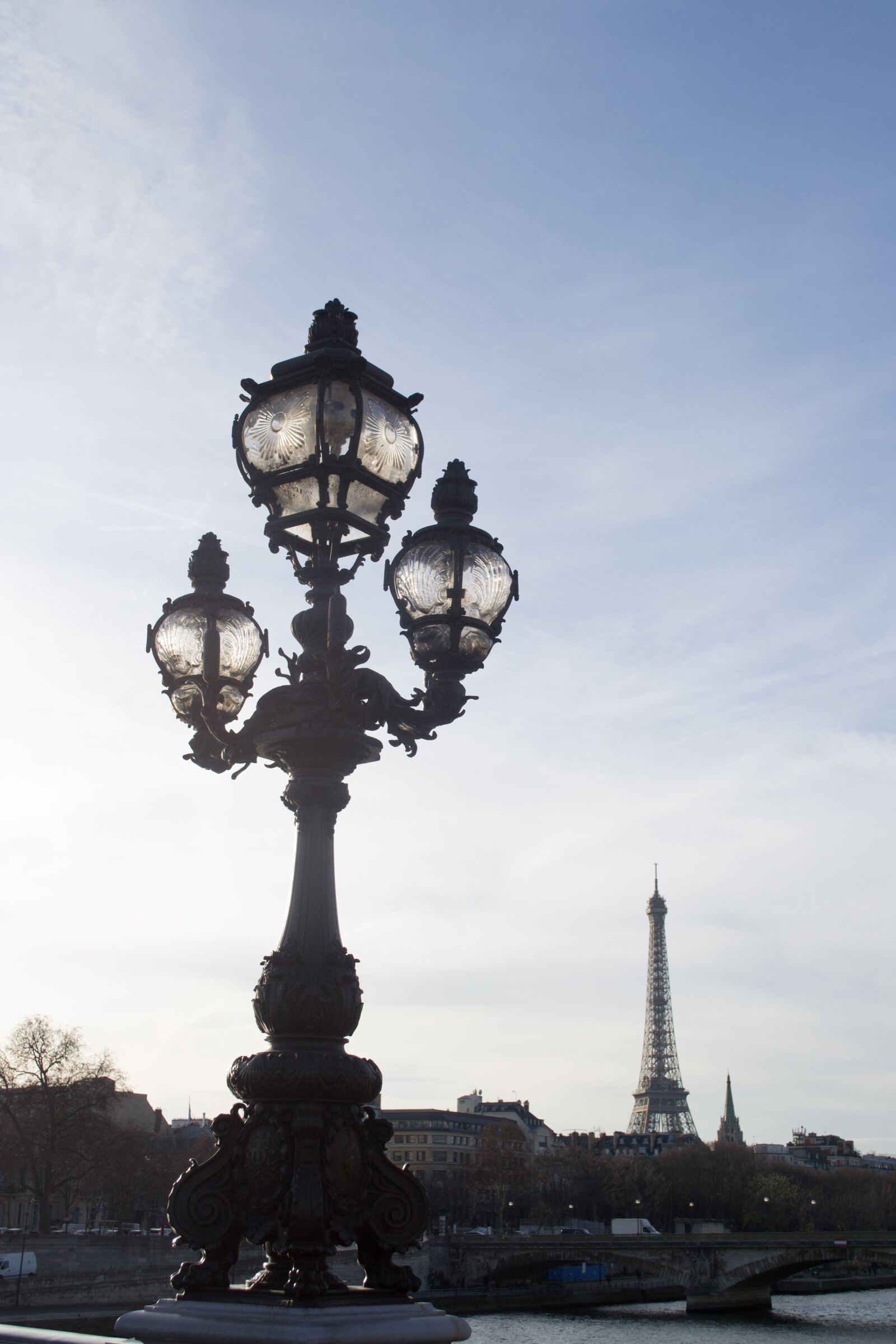 Nikon D3100 sample photo. Paris, seine, lamppost photography