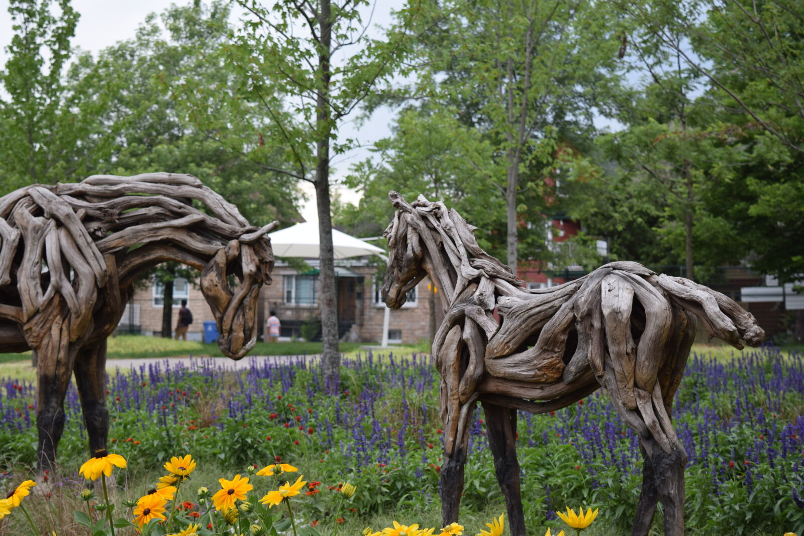 Nikon D3300 sample photo. Bark, blue, canada, downtown photography