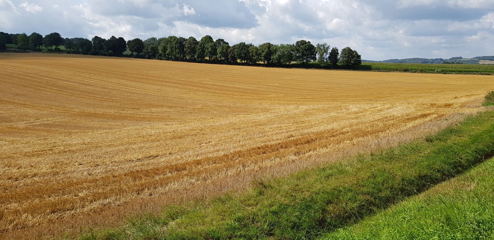 Samsung Galaxy S8 sample photo. Nature, limburg, landscape photography