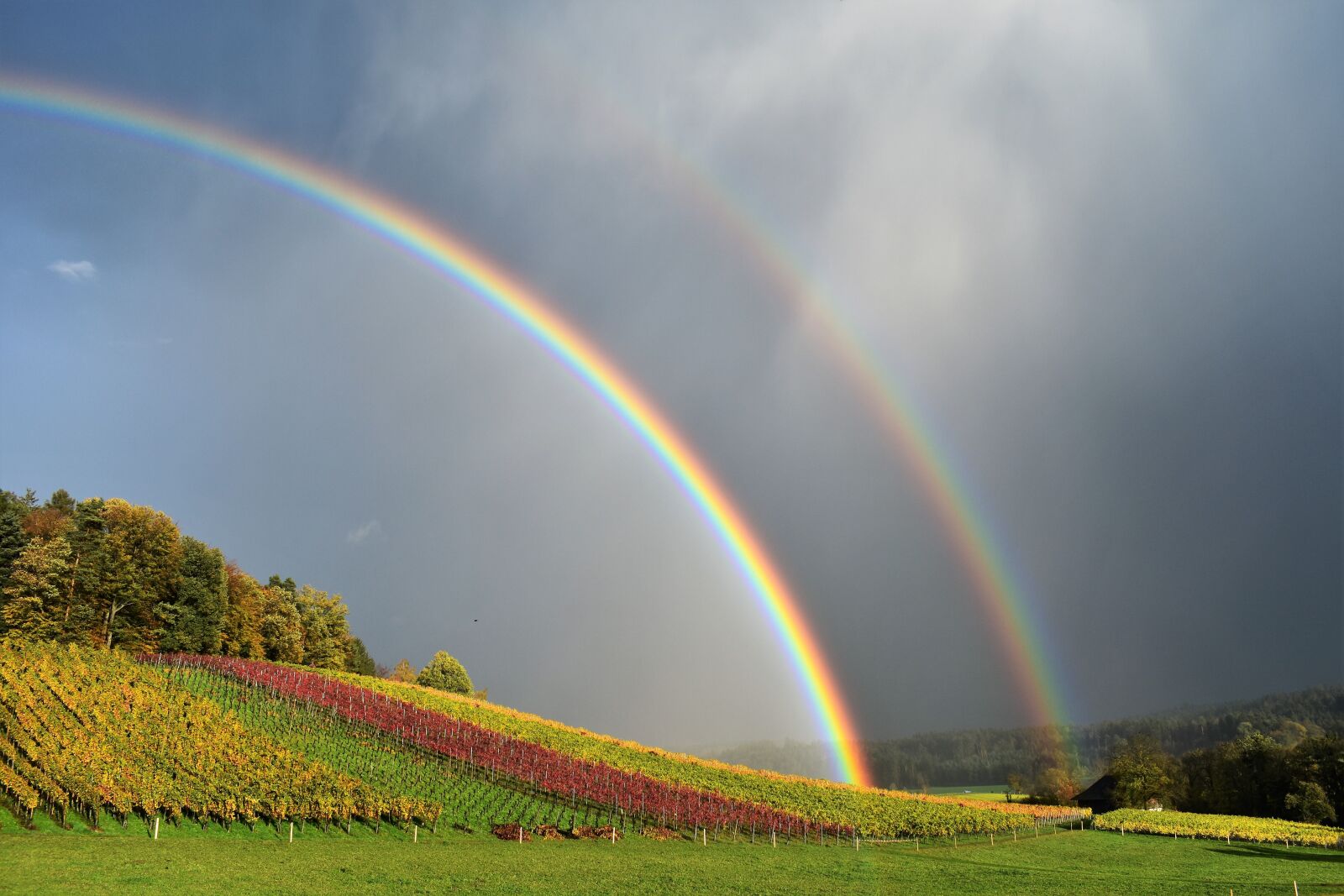 Nikon D5500 sample photo. Rainbow, rain, landscape photography