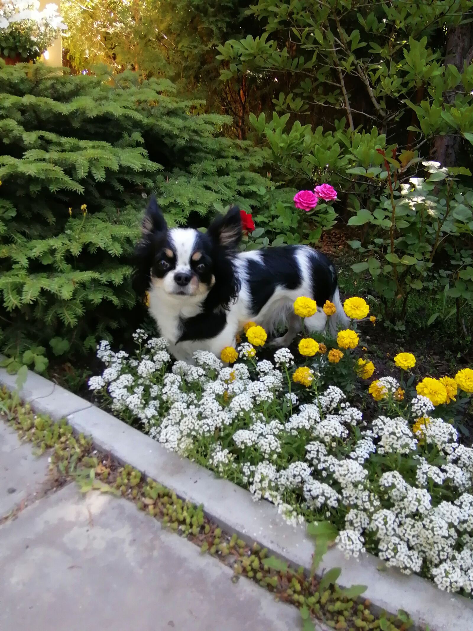 HUAWEI MAR-LX1M sample photo