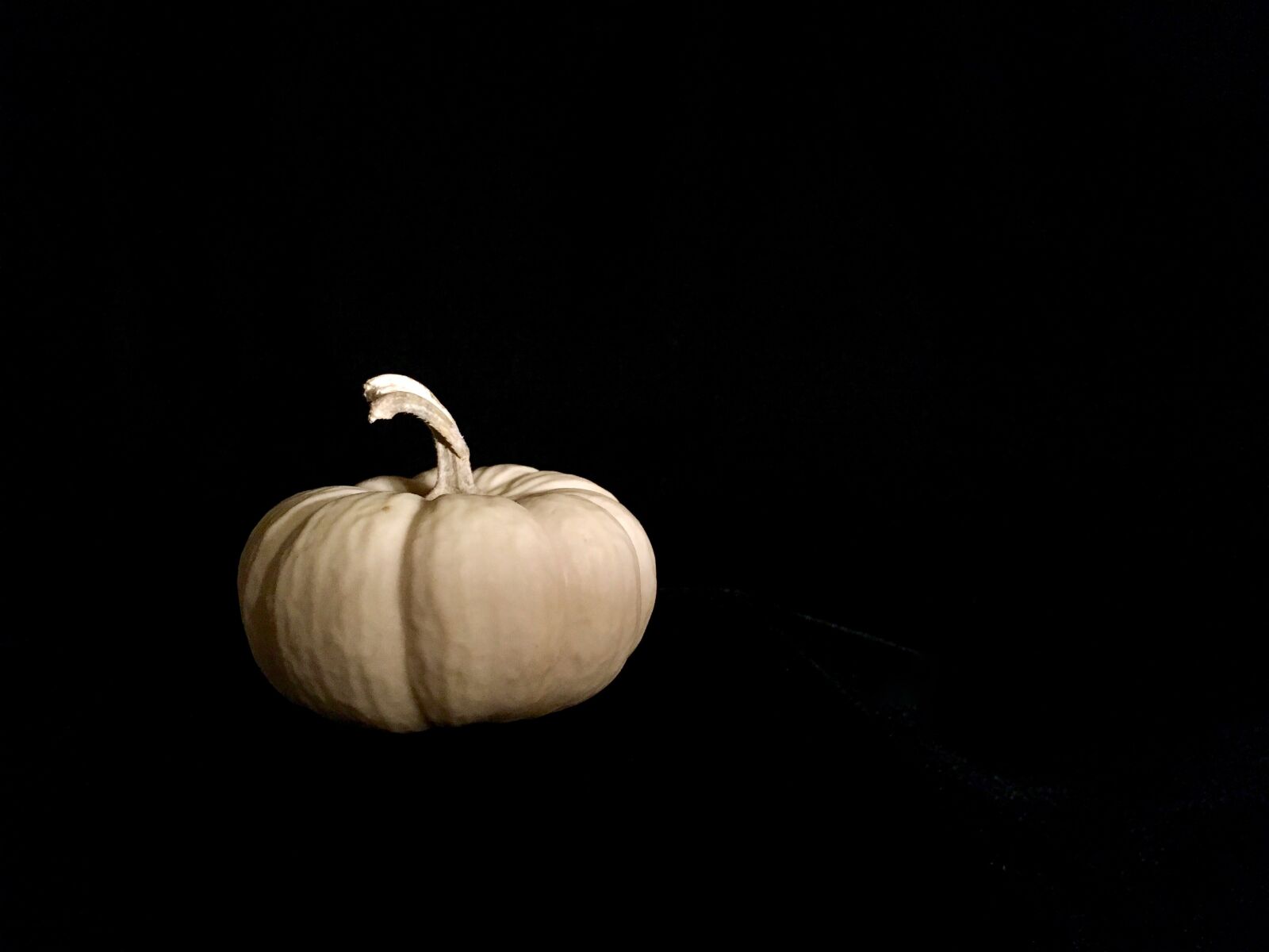 Apple iPad Pro sample photo. Gourd, white, pumpkin photography