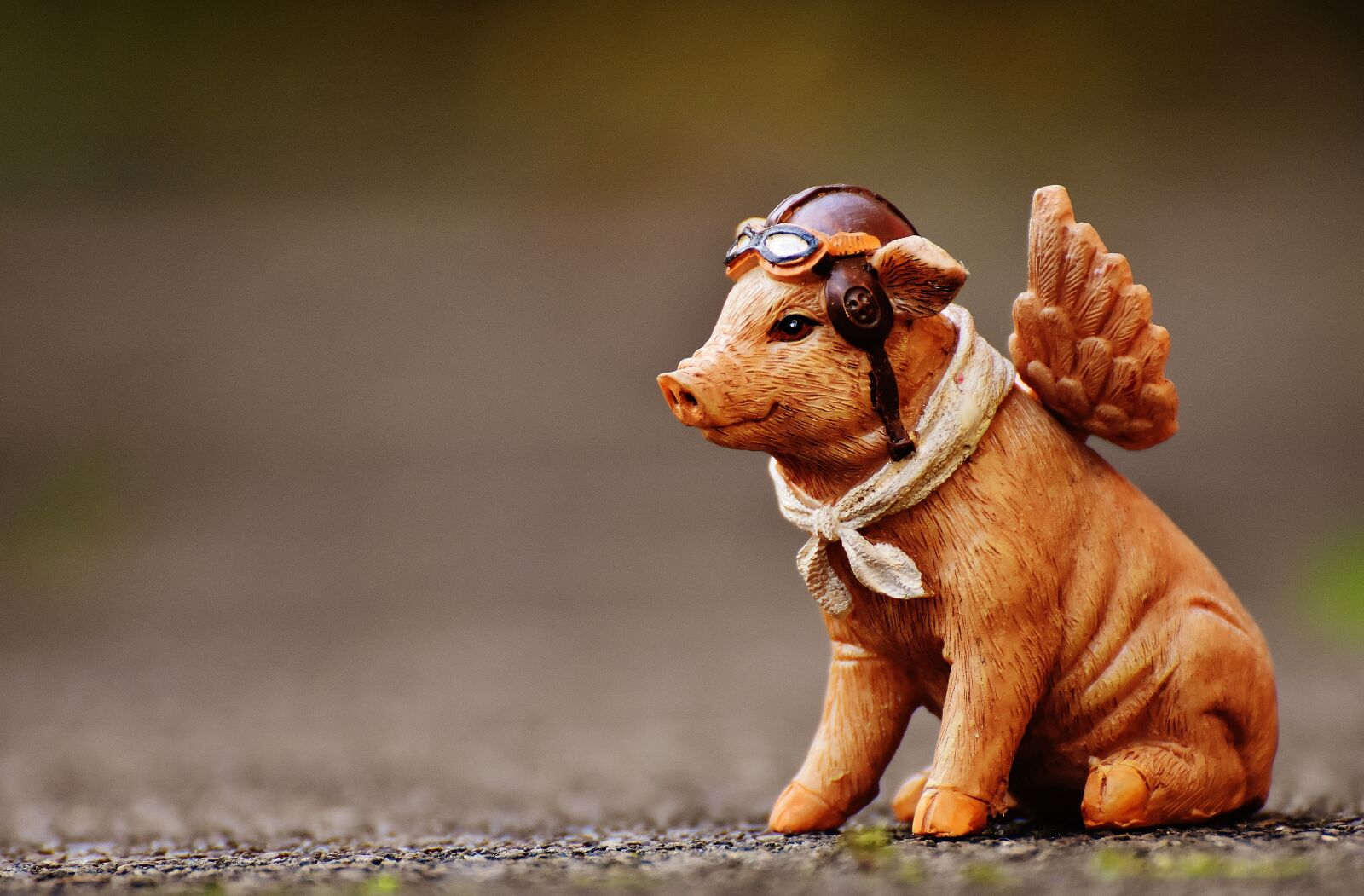 Nikon D7200 sample photo. Lucky pig, guardian angel photography