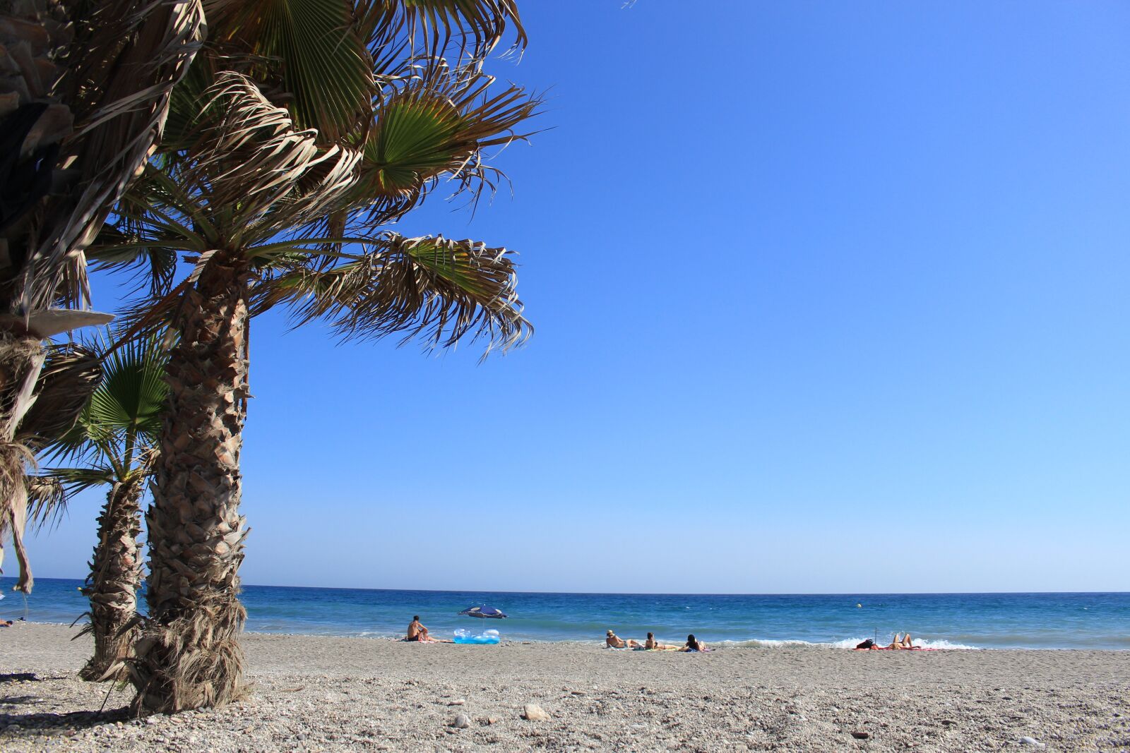 Canon EOS 700D (EOS Rebel T5i / EOS Kiss X7i) sample photo. Beach, palm, sea photography