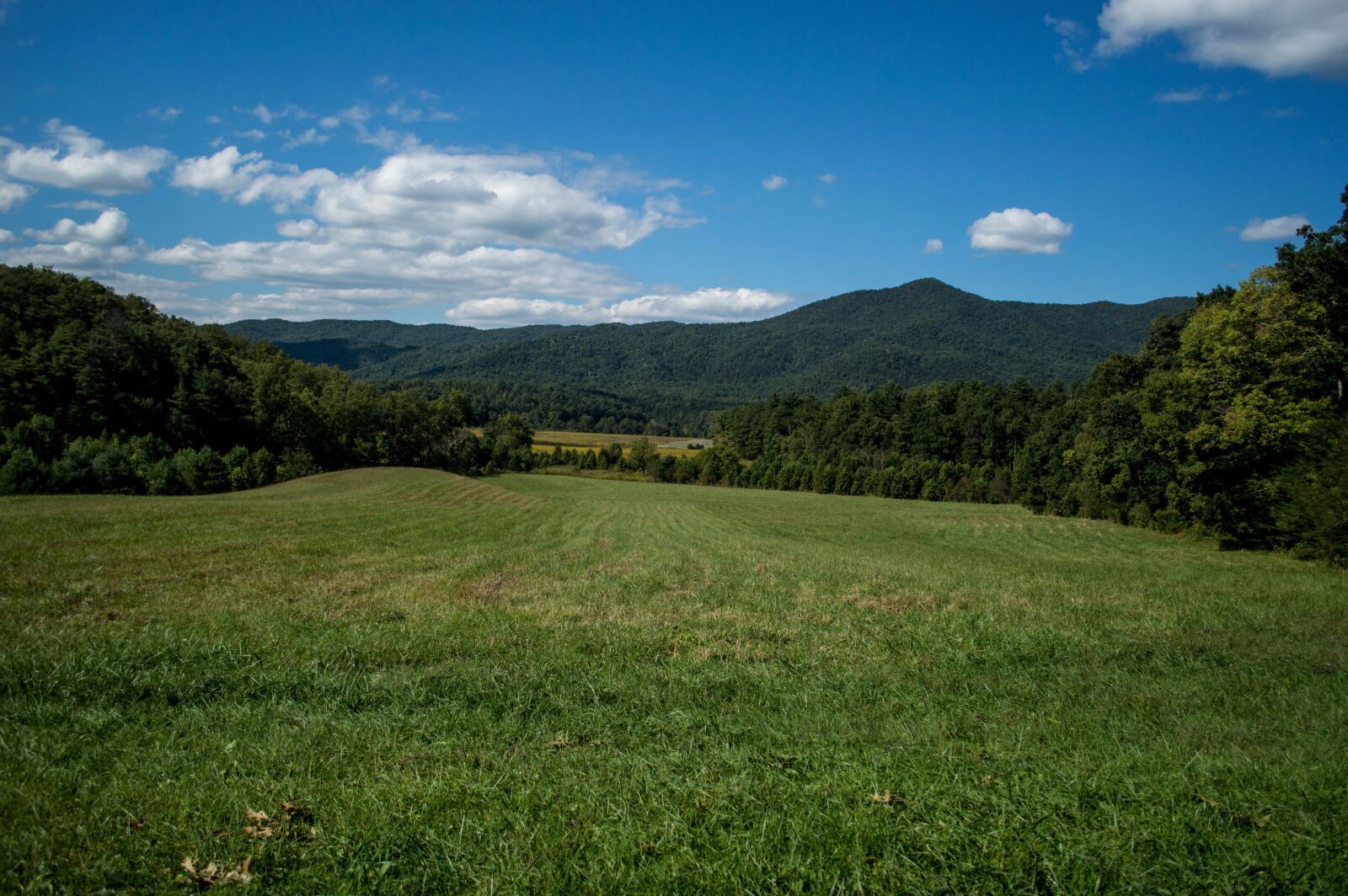 Nikon D3200 sample photo. Park, mountain, nature photography
