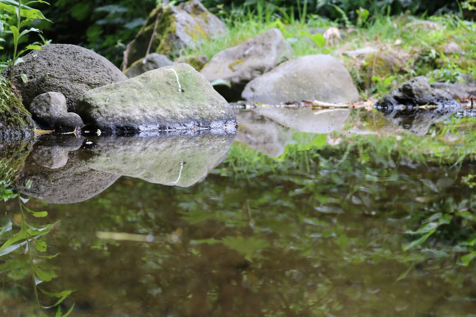 Canon EOS 750D (EOS Rebel T6i / EOS Kiss X8i) sample photo. Comanche, azores, s o photography