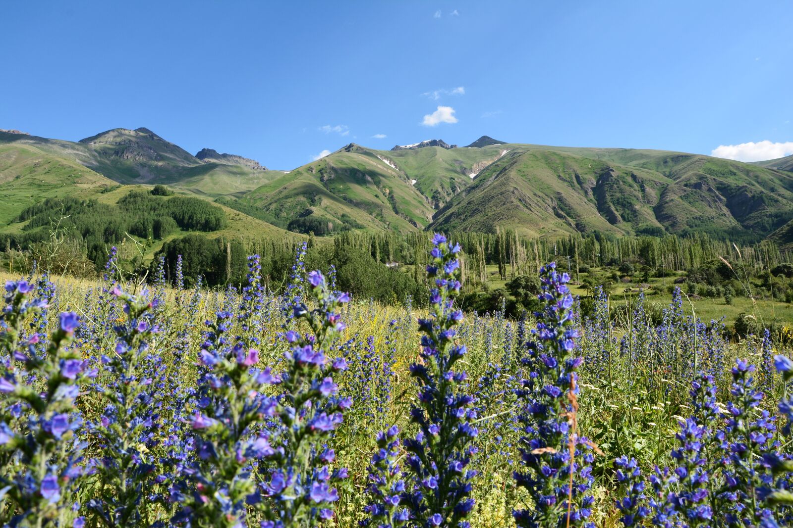 Nikon D7100 sample photo. Kaçkars, landscape, green photography