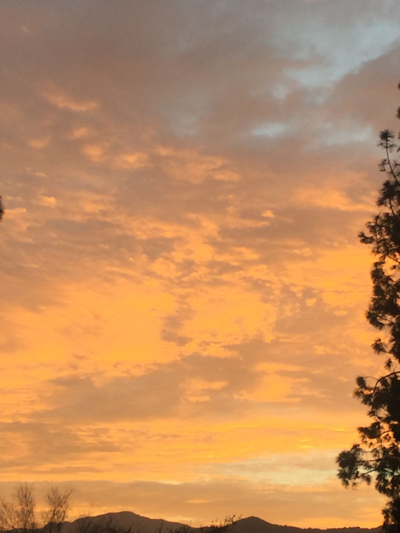 iPhone 6 back camera 4.15mm f/2.2 sample photo. Sky, sunset, nature photography