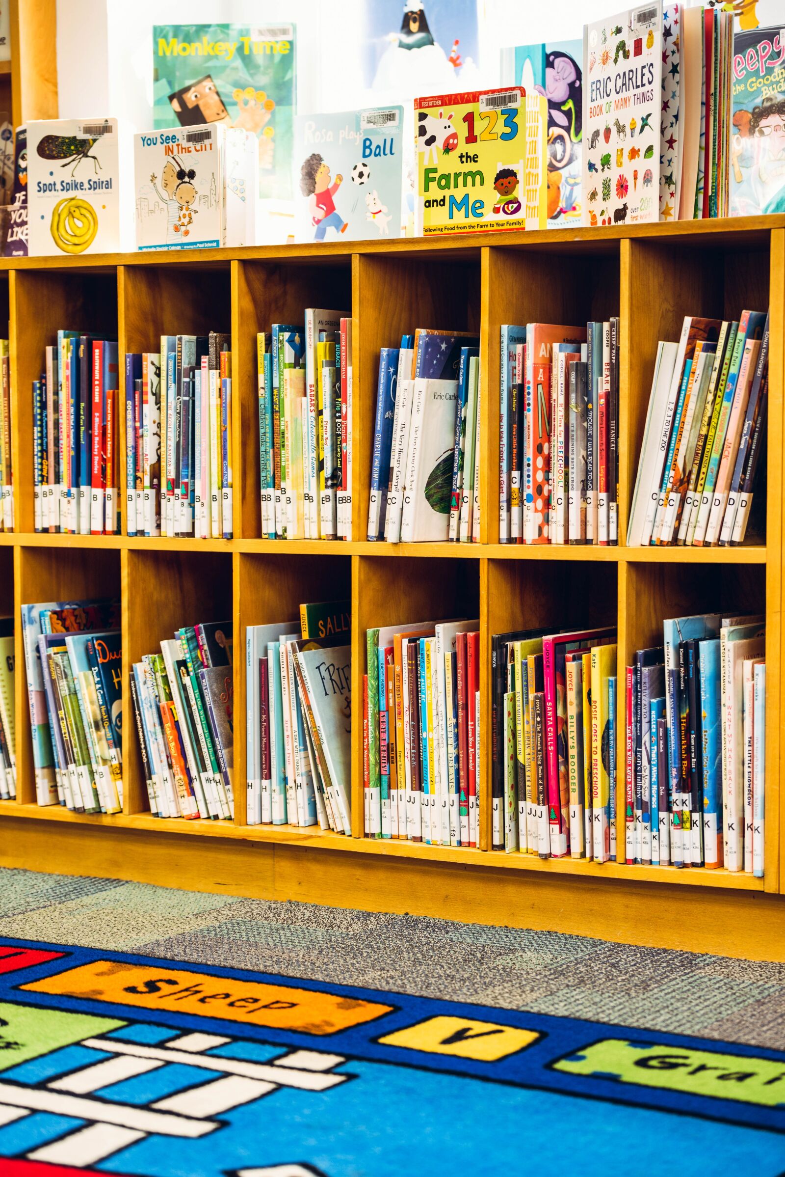 Nikon D750 sample photo. Kid, shelf, books photography