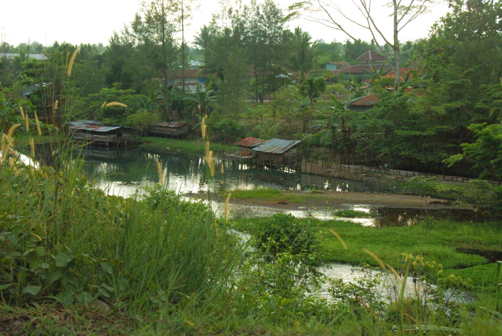 Nikon D200 sample photo. Jungle, river, mire photography