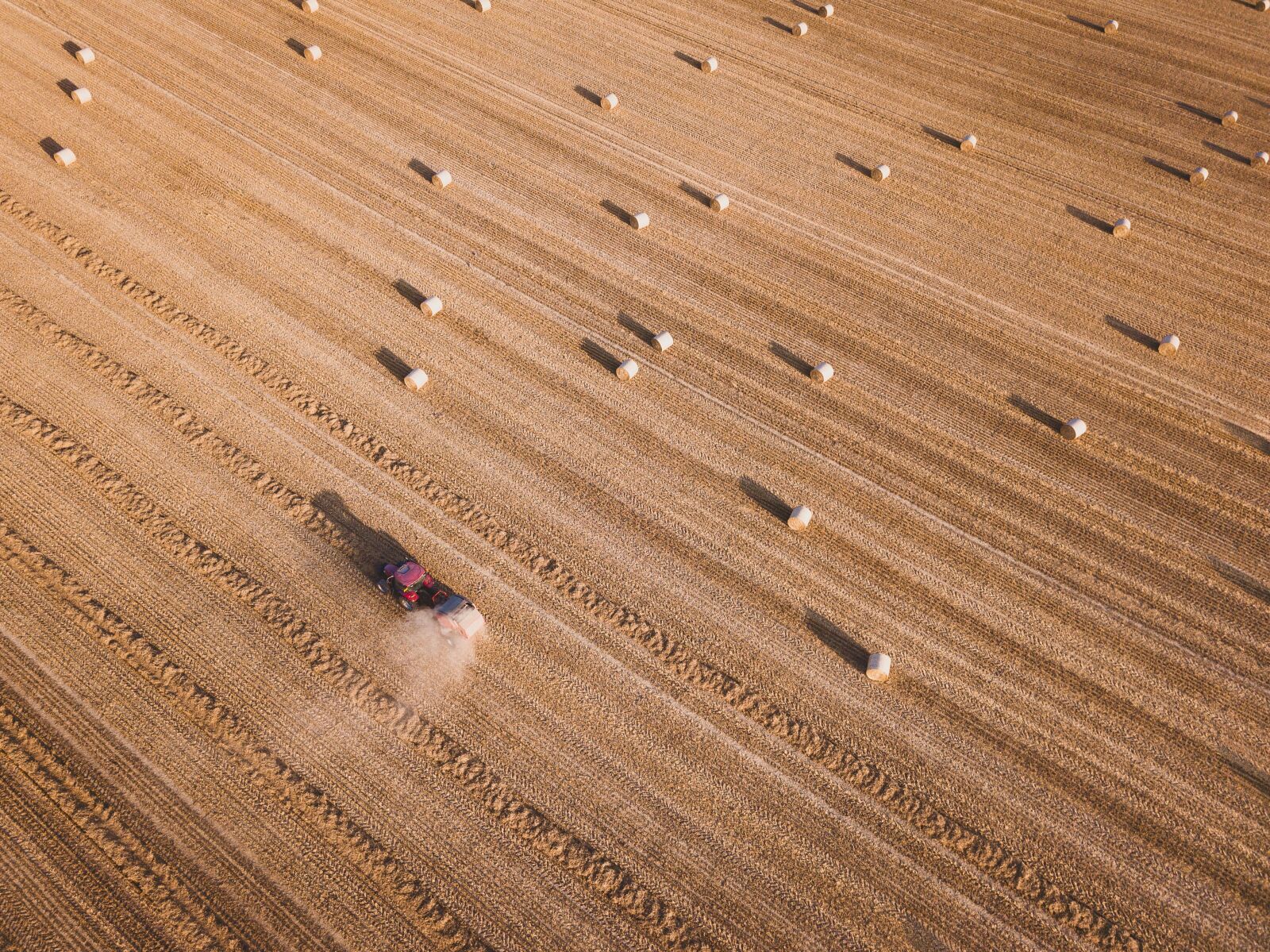 DJI FC220 sample photo. Agriculture, harvest, farm photography