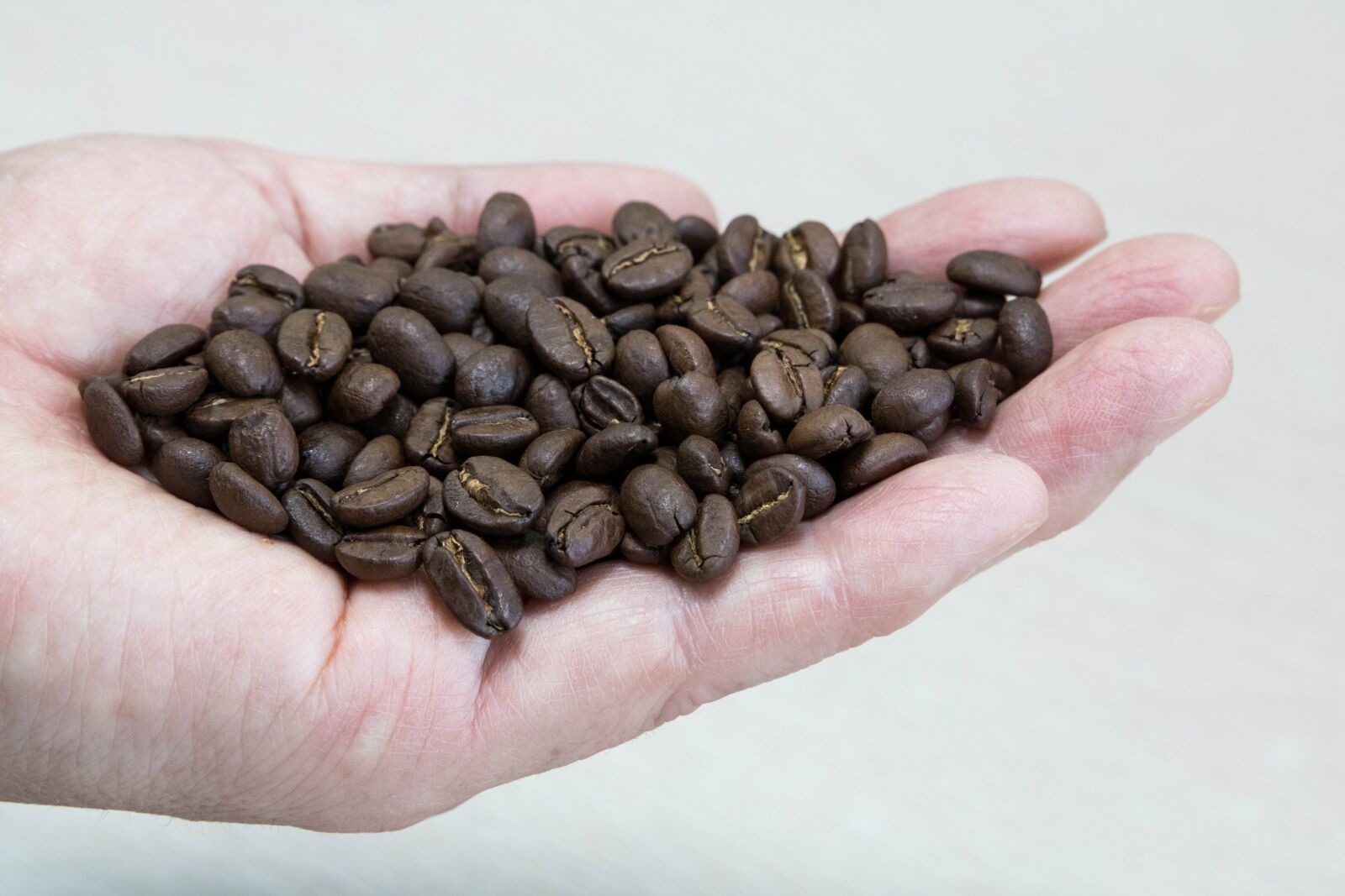 Canon EOS 750D (EOS Rebel T6i / EOS Kiss X8i) sample photo. Mr, coffee, bean photography