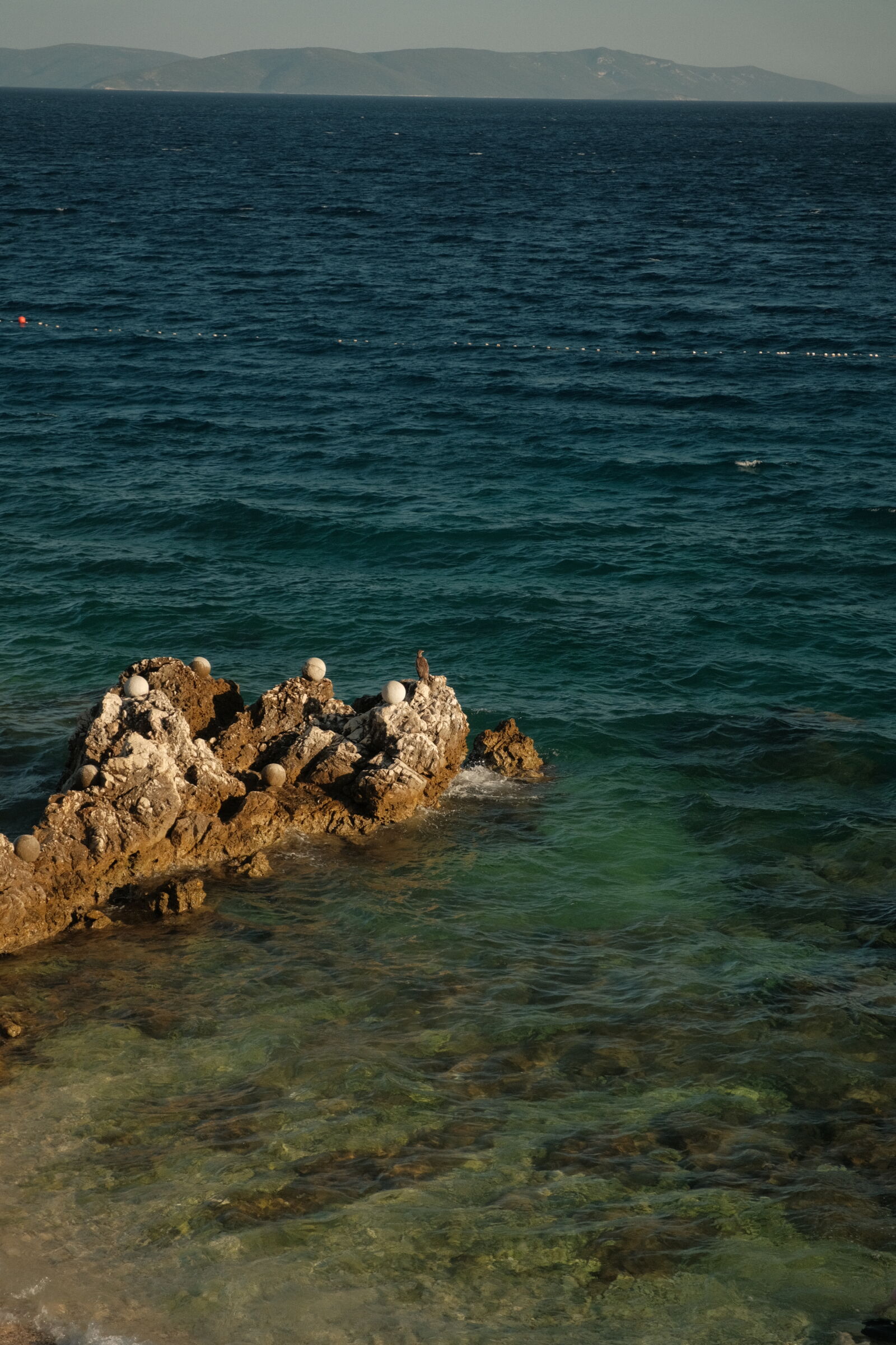 Sigma 18-50mm F2.8 DC DN Contemporary sample photo