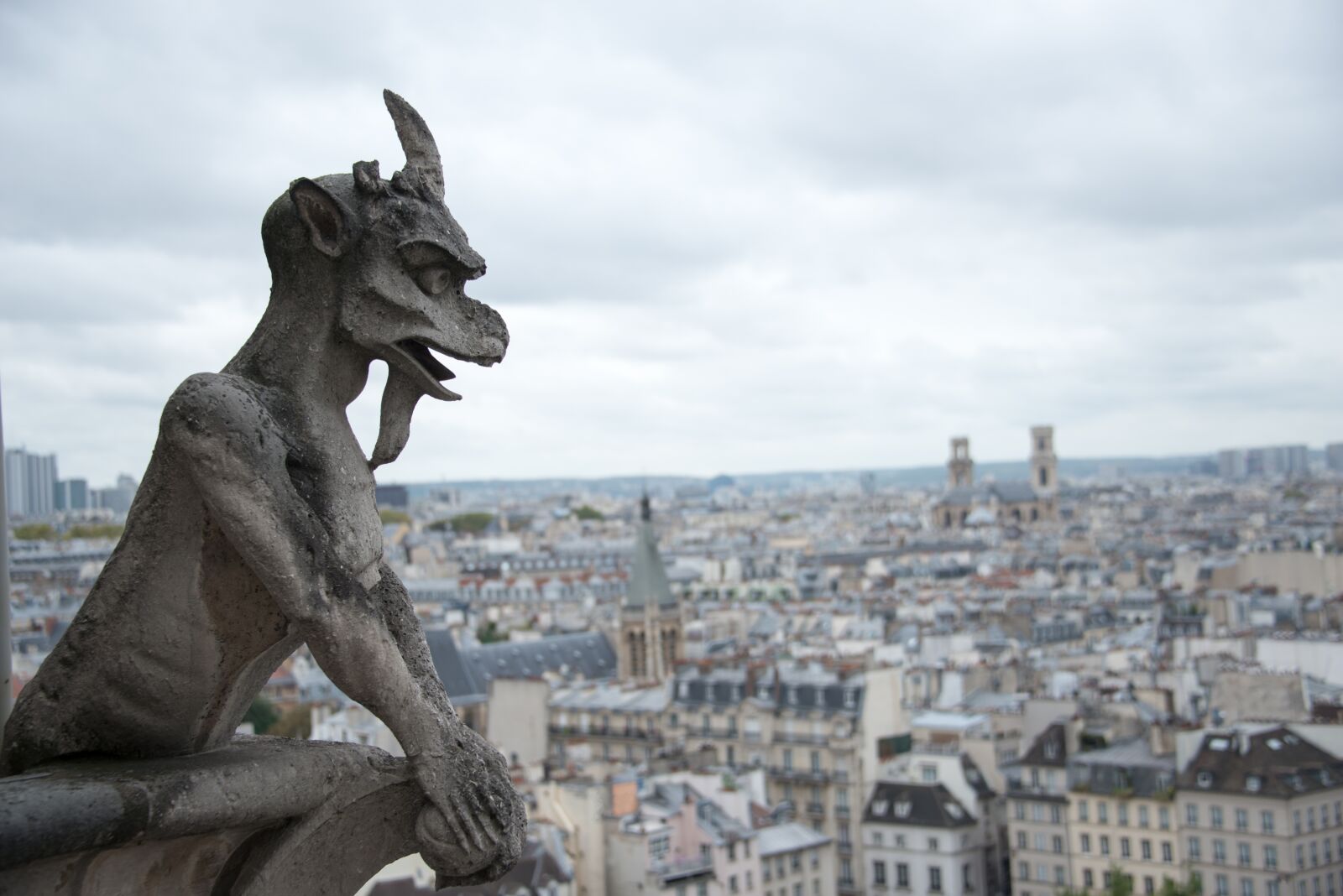 Nikon D800 sample photo. Gargoyle, notre, dame photography