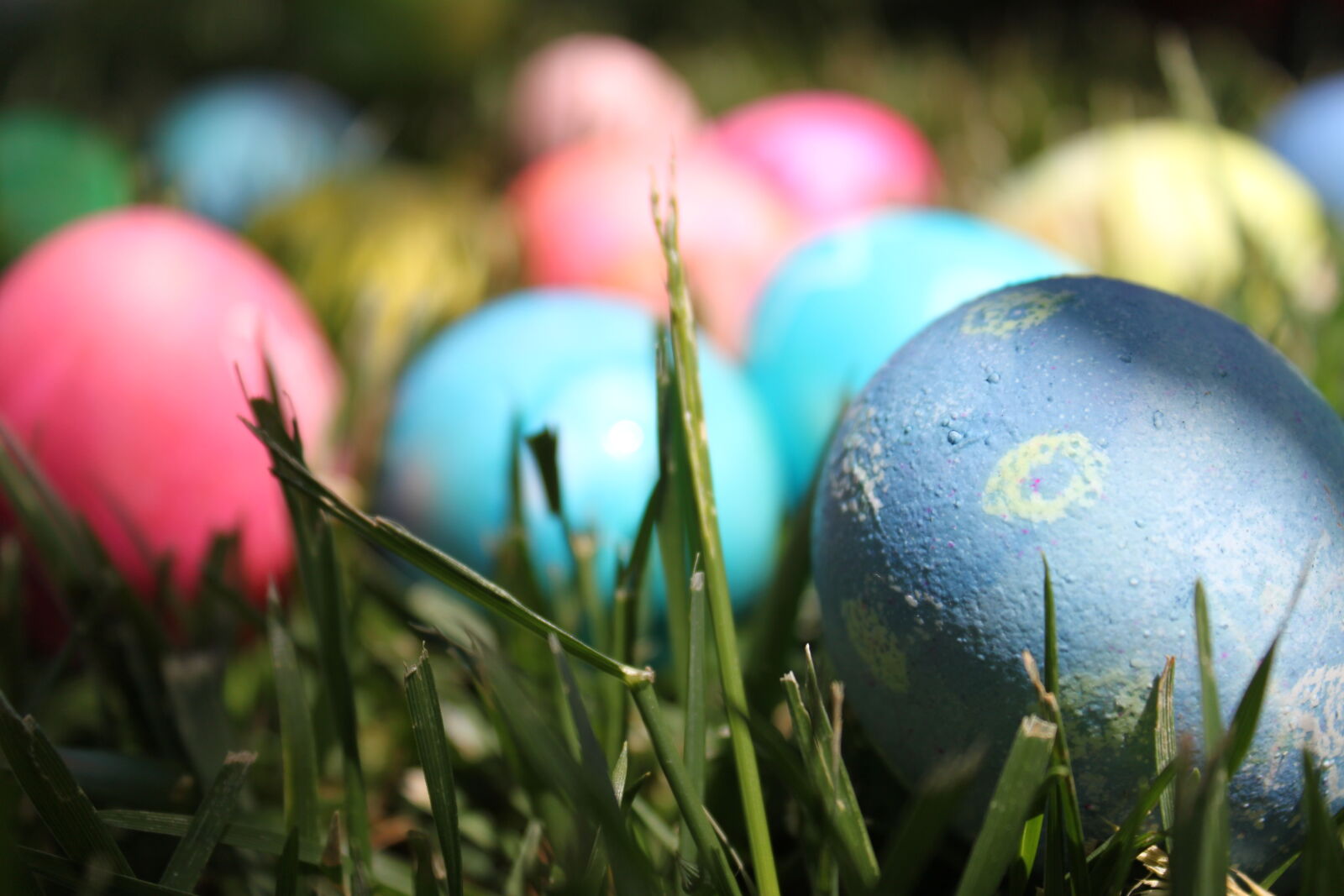 Canon EF-S 18-55mm F3.5-5.6 IS sample photo. Easter, egg, eggs photography
