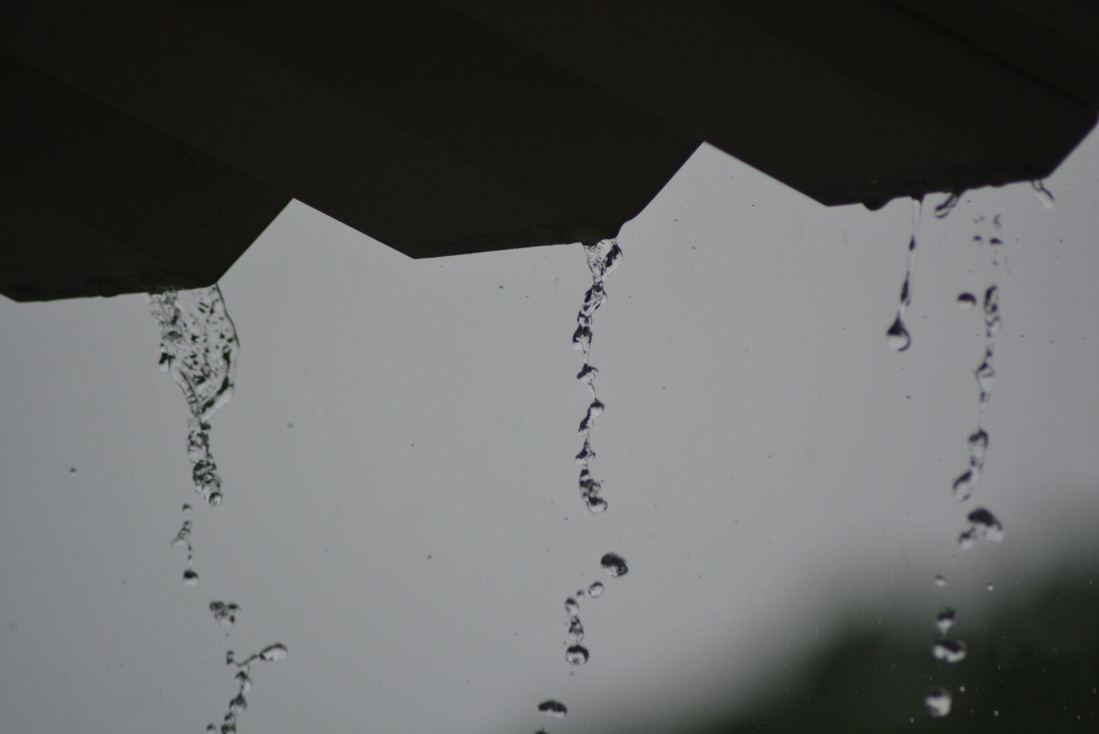 Nikon D5200 sample photo. Rain, romantic, love photography