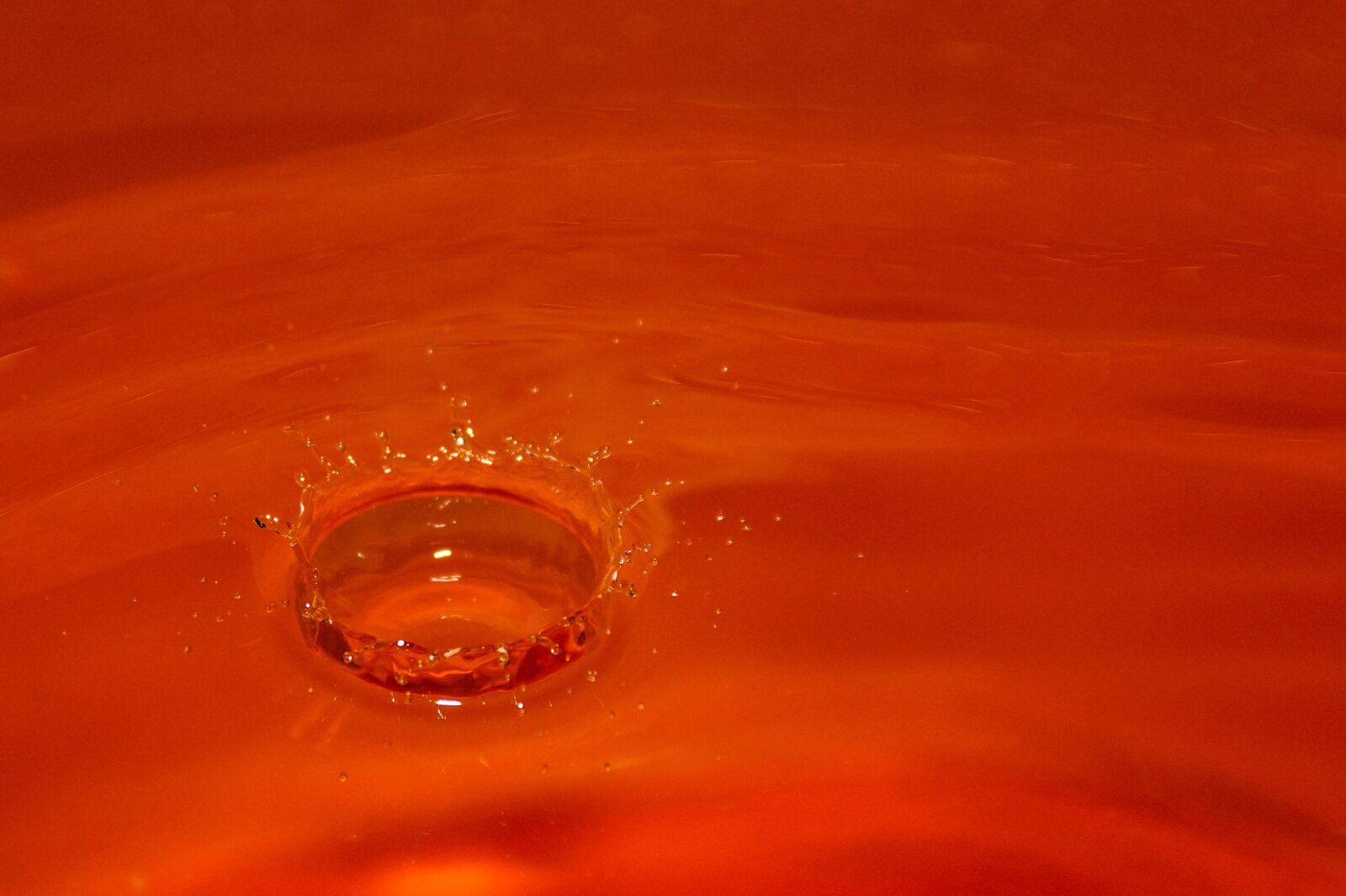 Nikon D7200 sample photo. Drops, water, wet photography