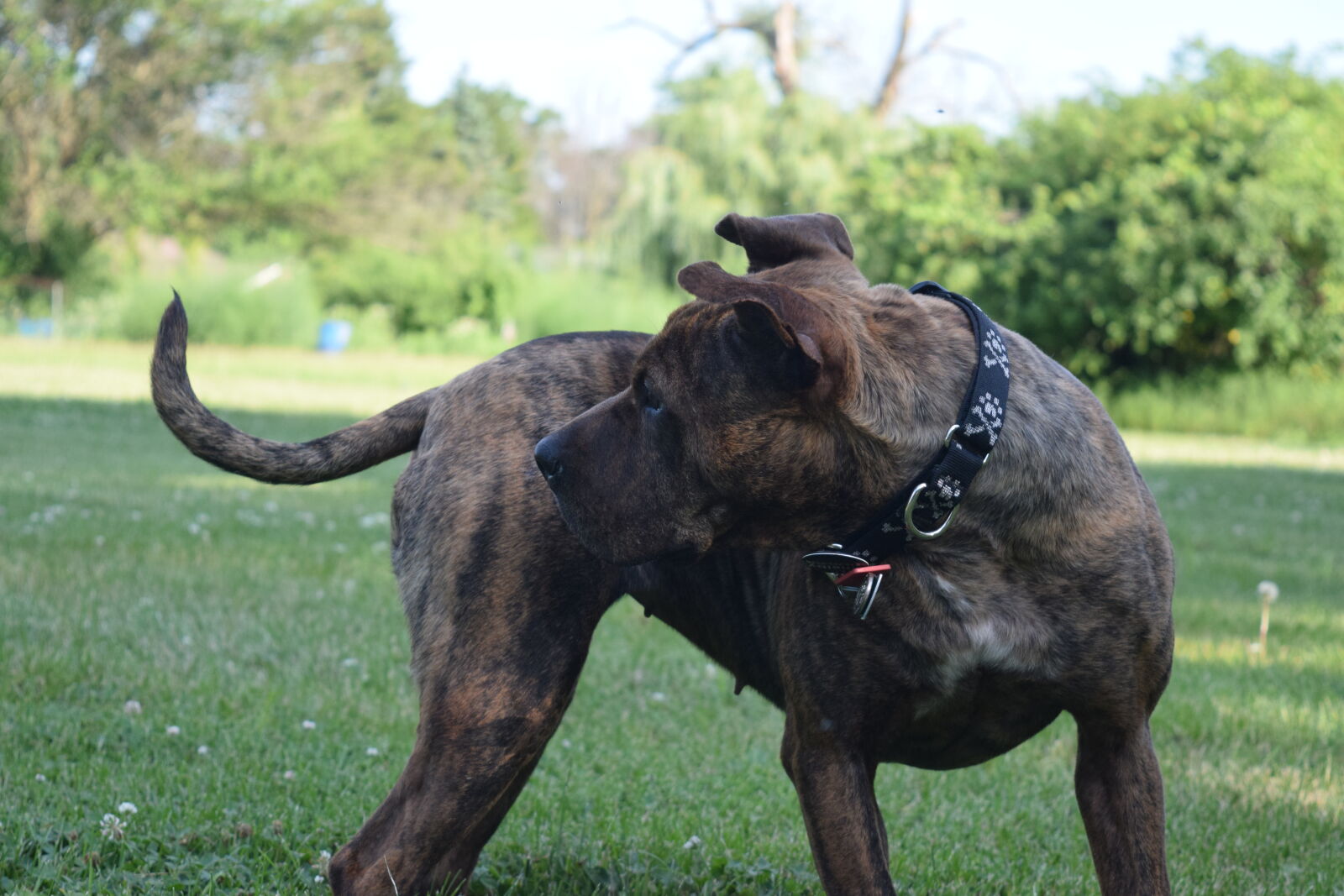Nikon D3300 sample photo