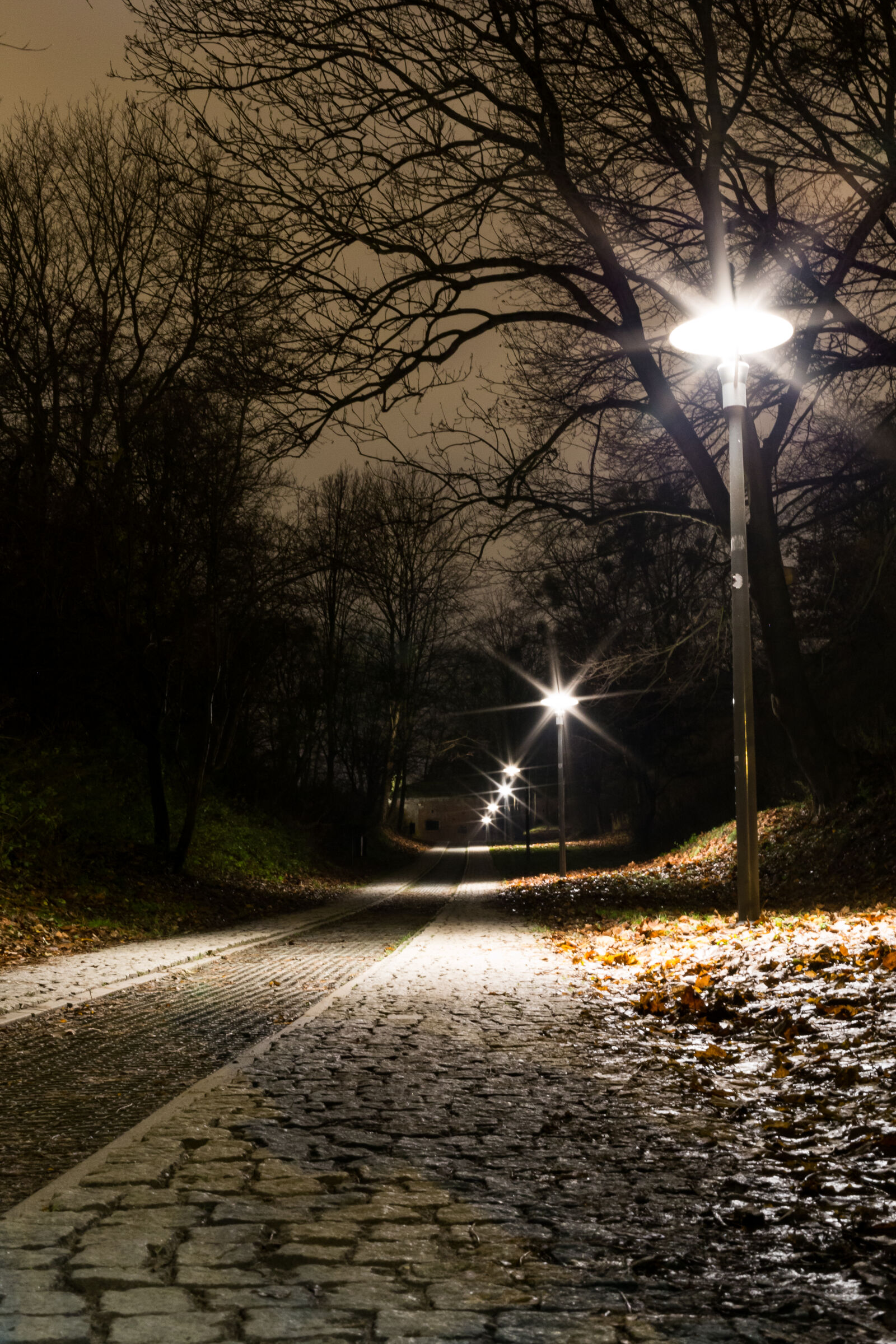 Canon EOS 6D + Canon EF 50mm F1.4 USM sample photo. Autumn, forts, lantern, lanterns photography