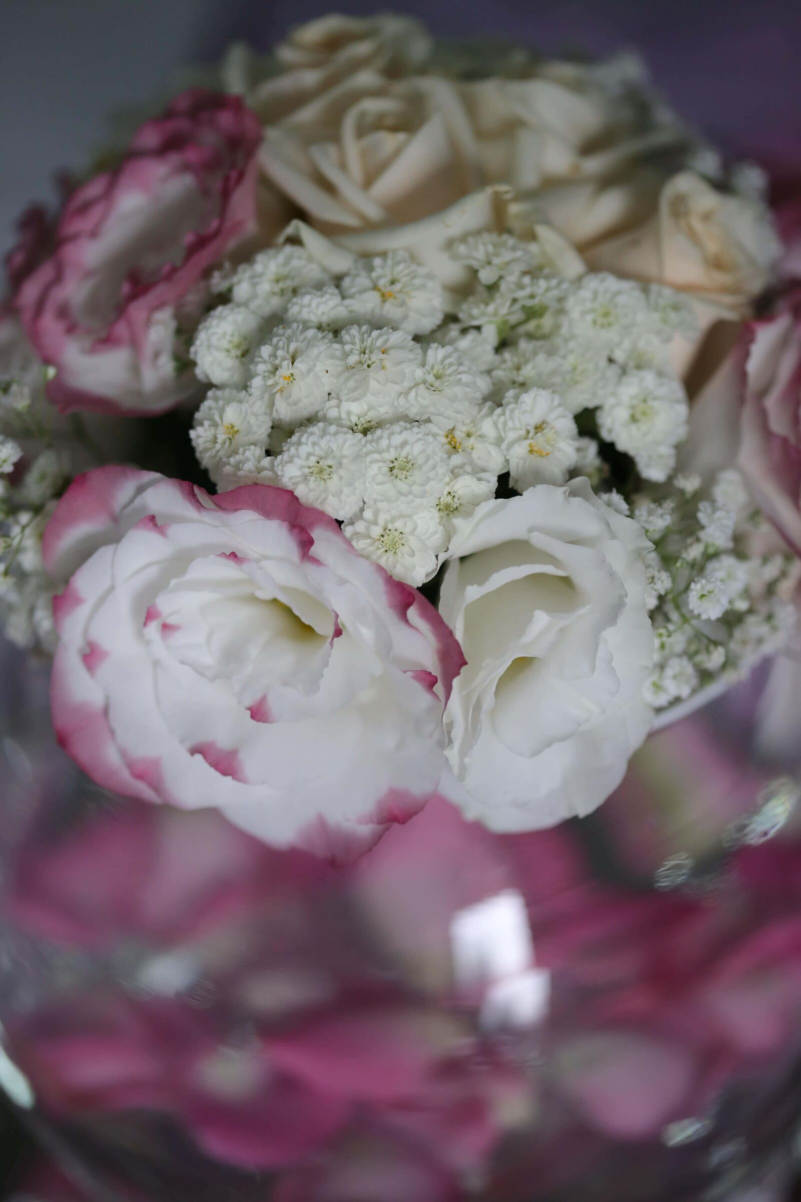 Canon EOS 6D + Canon EF 100mm F2.8 Macro USM sample photo. Romance, roses, white flower photography