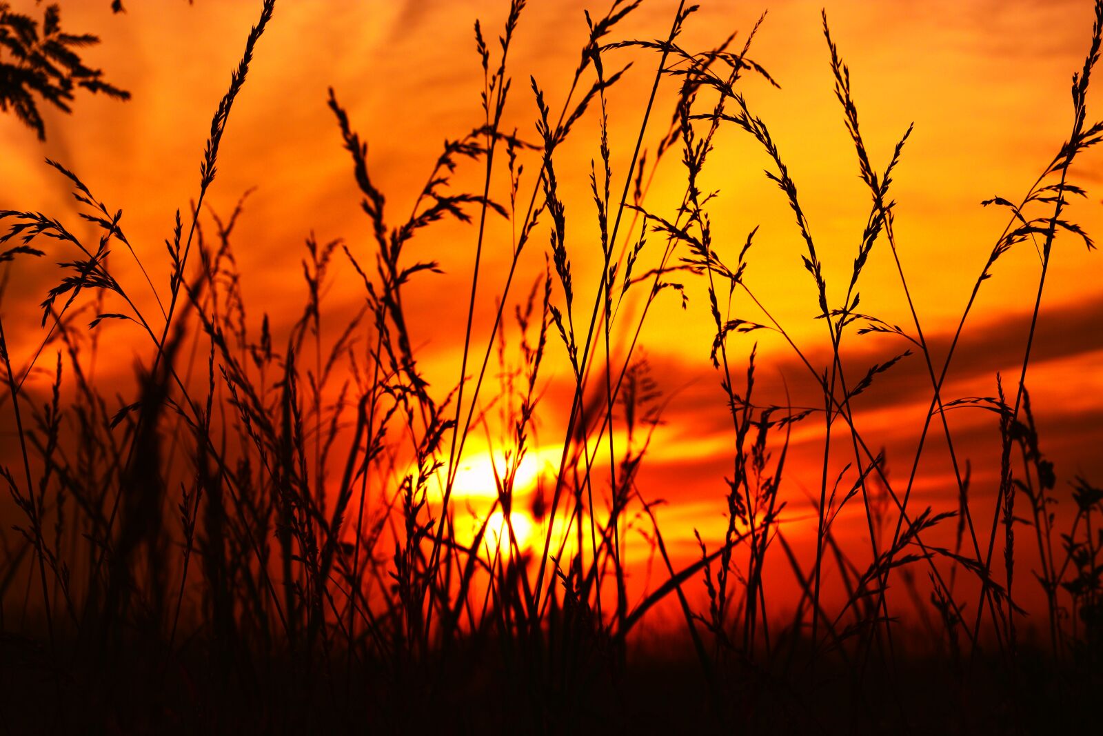 Nikon D5200 sample photo. Sunset, nature, dawn photography