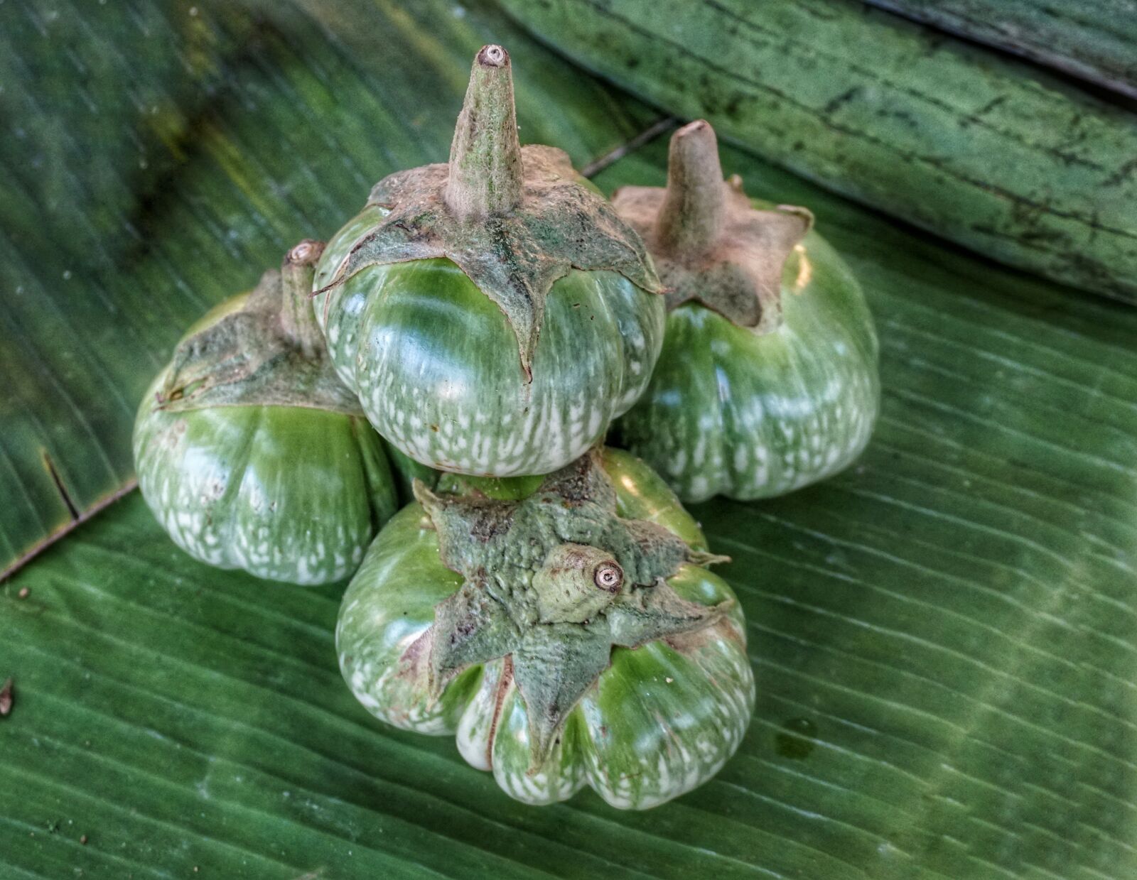 Sony a6300 sample photo. Thai, eggplant, green photography