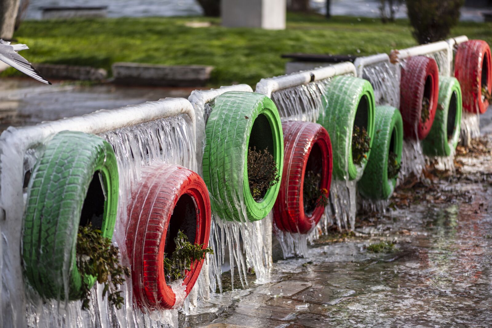 Nikon D750 sample photo. Ice, cold, winter photography