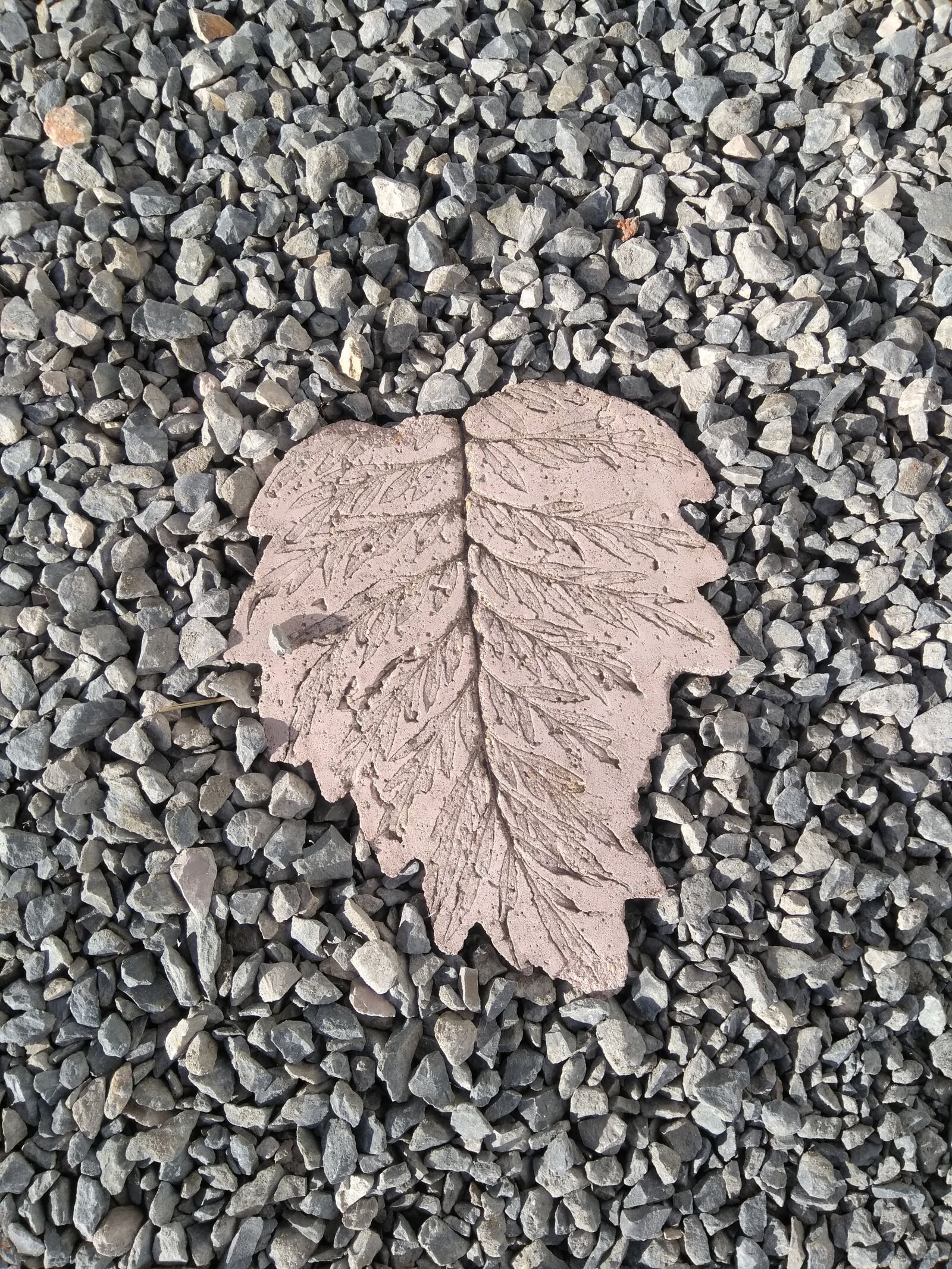 HMD Global Nokia 5 sample photo. Cement, flower, leaf photography