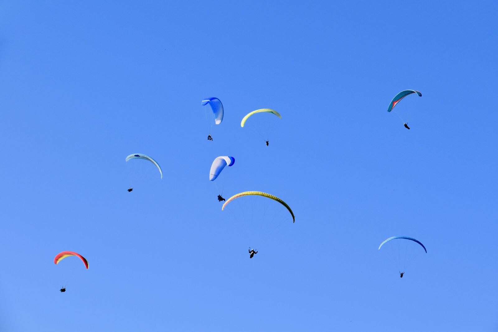 Nikon D5600 sample photo. Paragliders, sails, wings photography