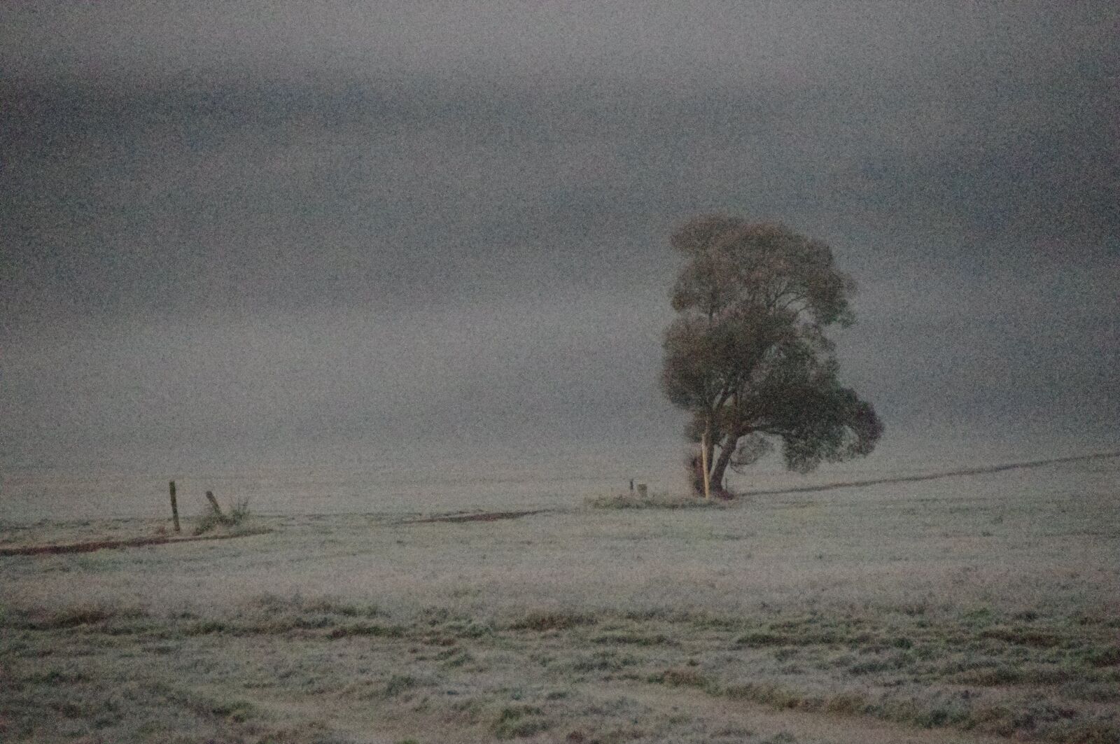 Pentax K-r sample photo. October, frost, fog photography