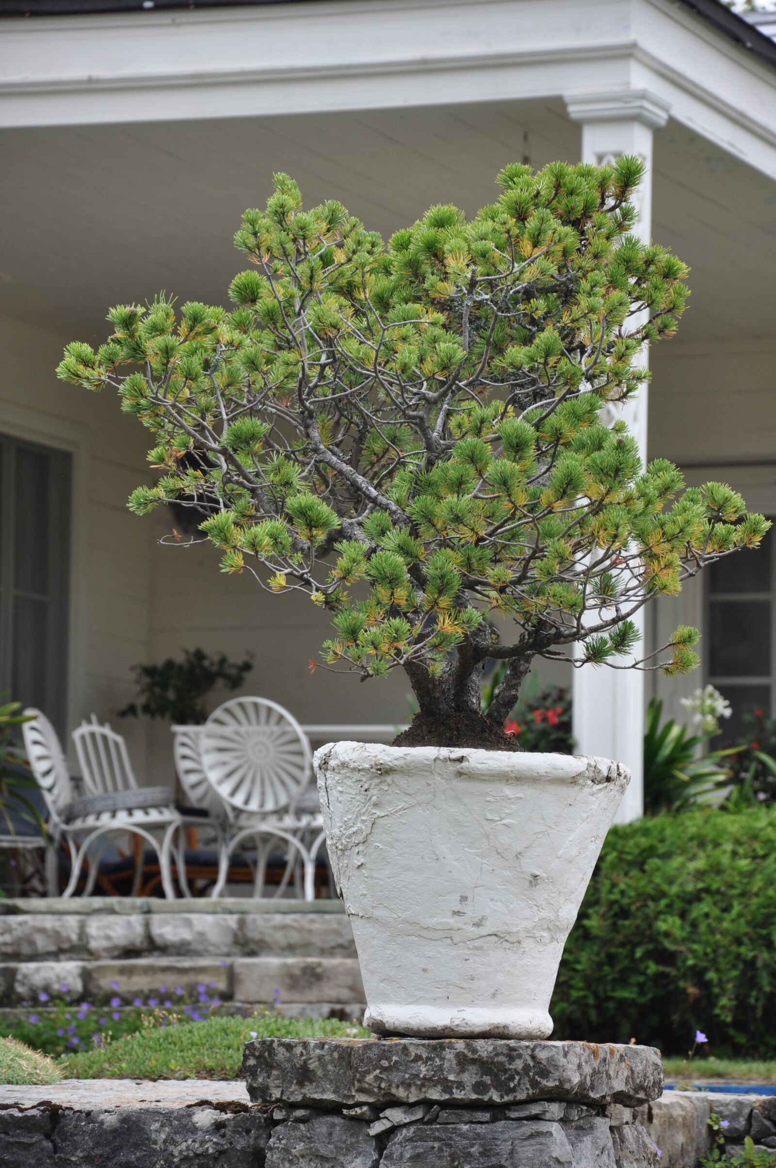 Nikon D90 sample photo. Garden, architecture, tree photography