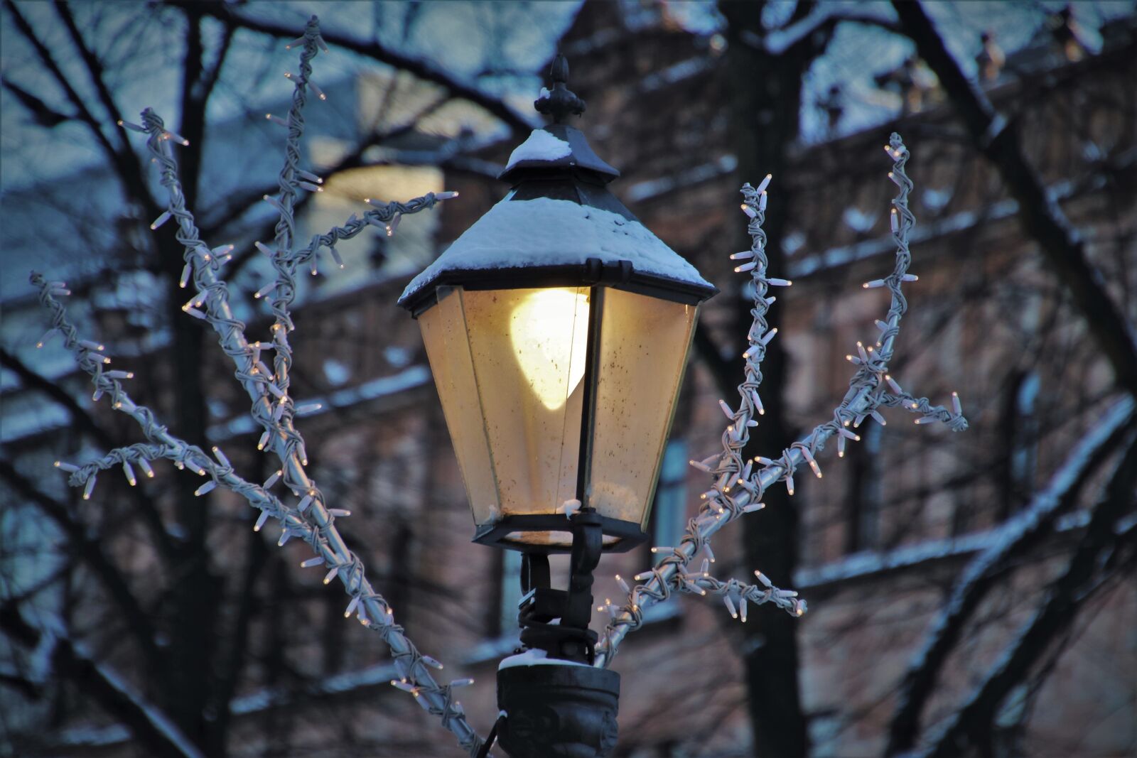 Canon EOS 80D sample photo. City, evening, light photography