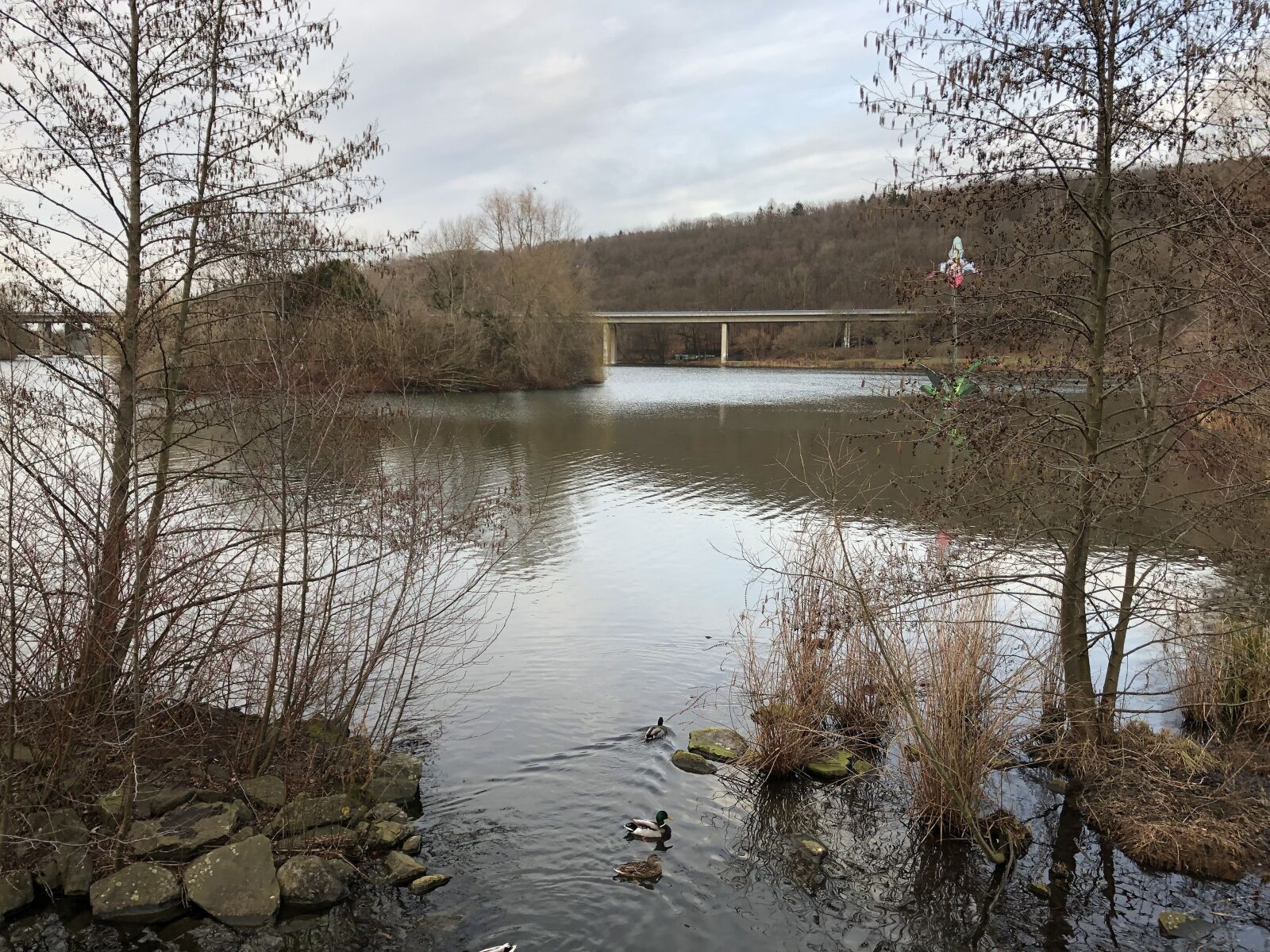 iPhone 8 Plus back dual camera 3.99mm f/1.8 sample photo. Seilersee, iserlohn, north rhine photography