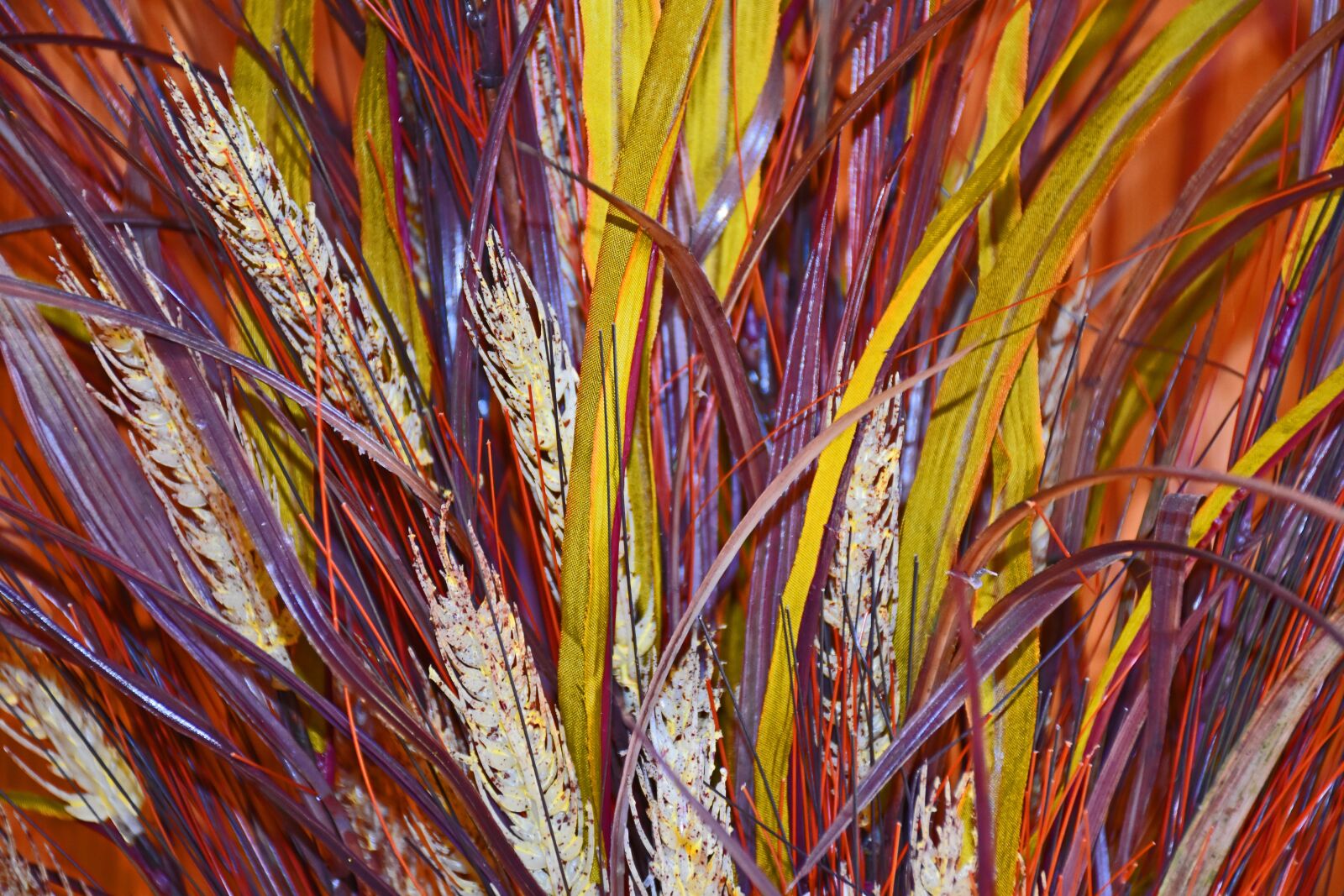 Nikon D5500 sample photo. Background, texture, pattern photography