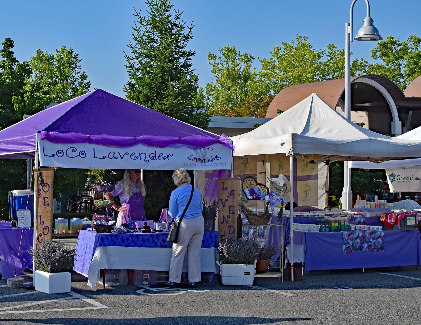 Nikon D3300 sample photo. Lavender festival, oak ridge photography