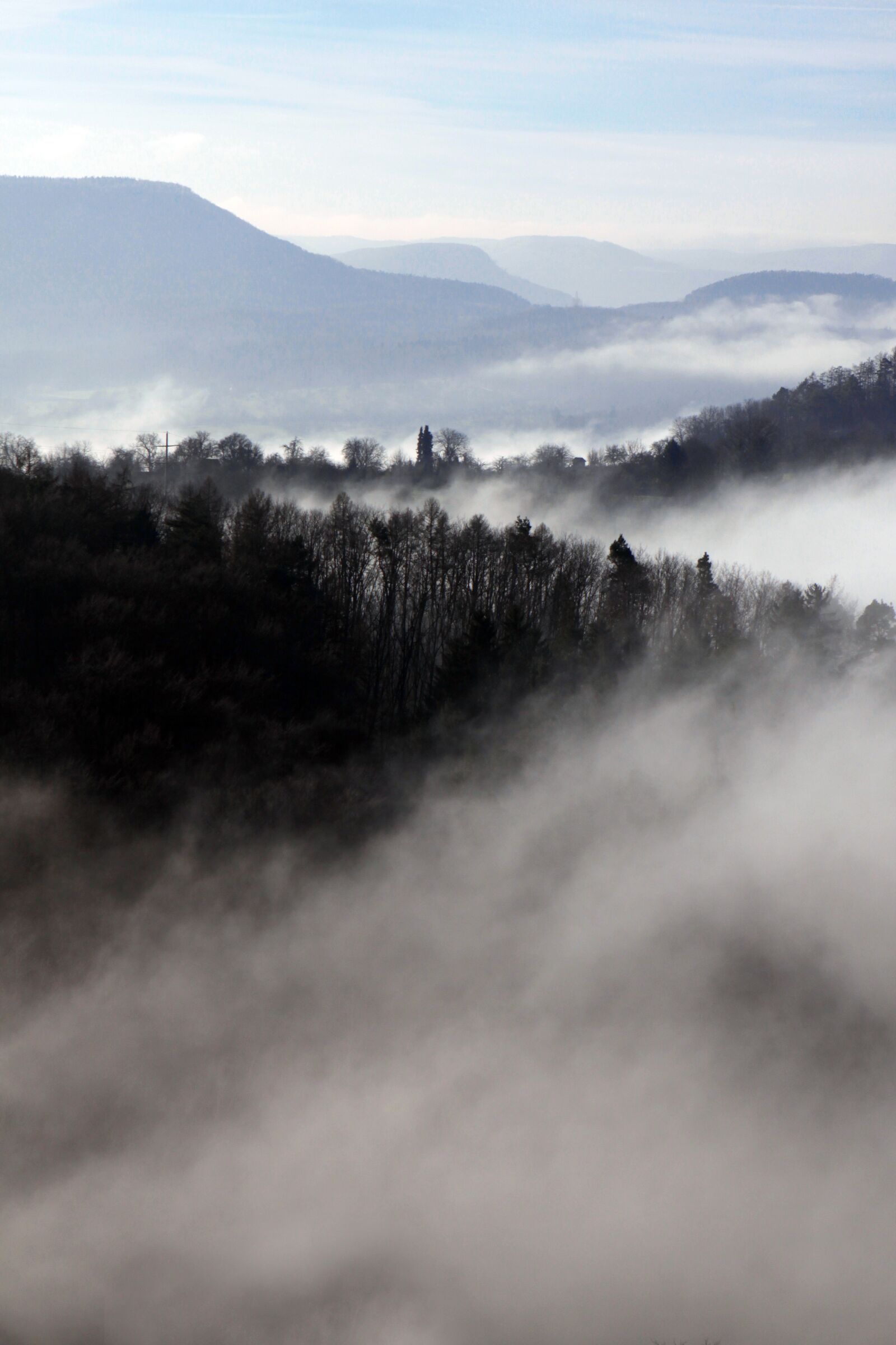 Canon EOS 50D sample photo. Fog, alb, mystical photography