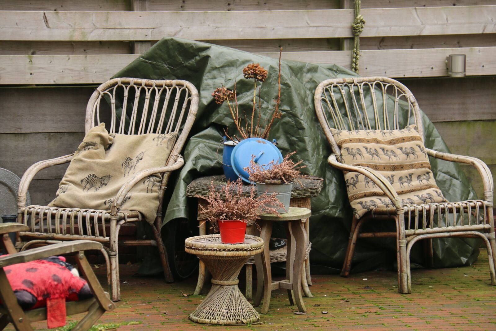 Canon EF-S 18-200mm F3.5-5.6 IS sample photo. Rest, chair, home photography