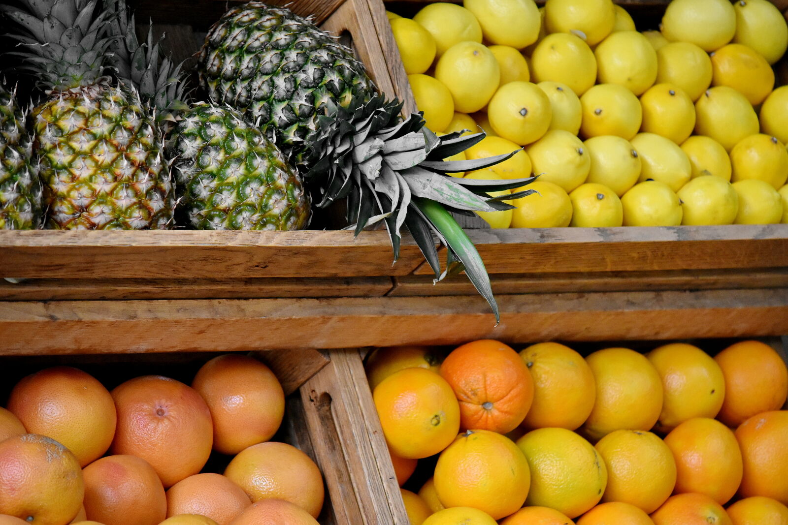 Nikon D5500 sample photo. Citrus, orange, produce, fruit photography