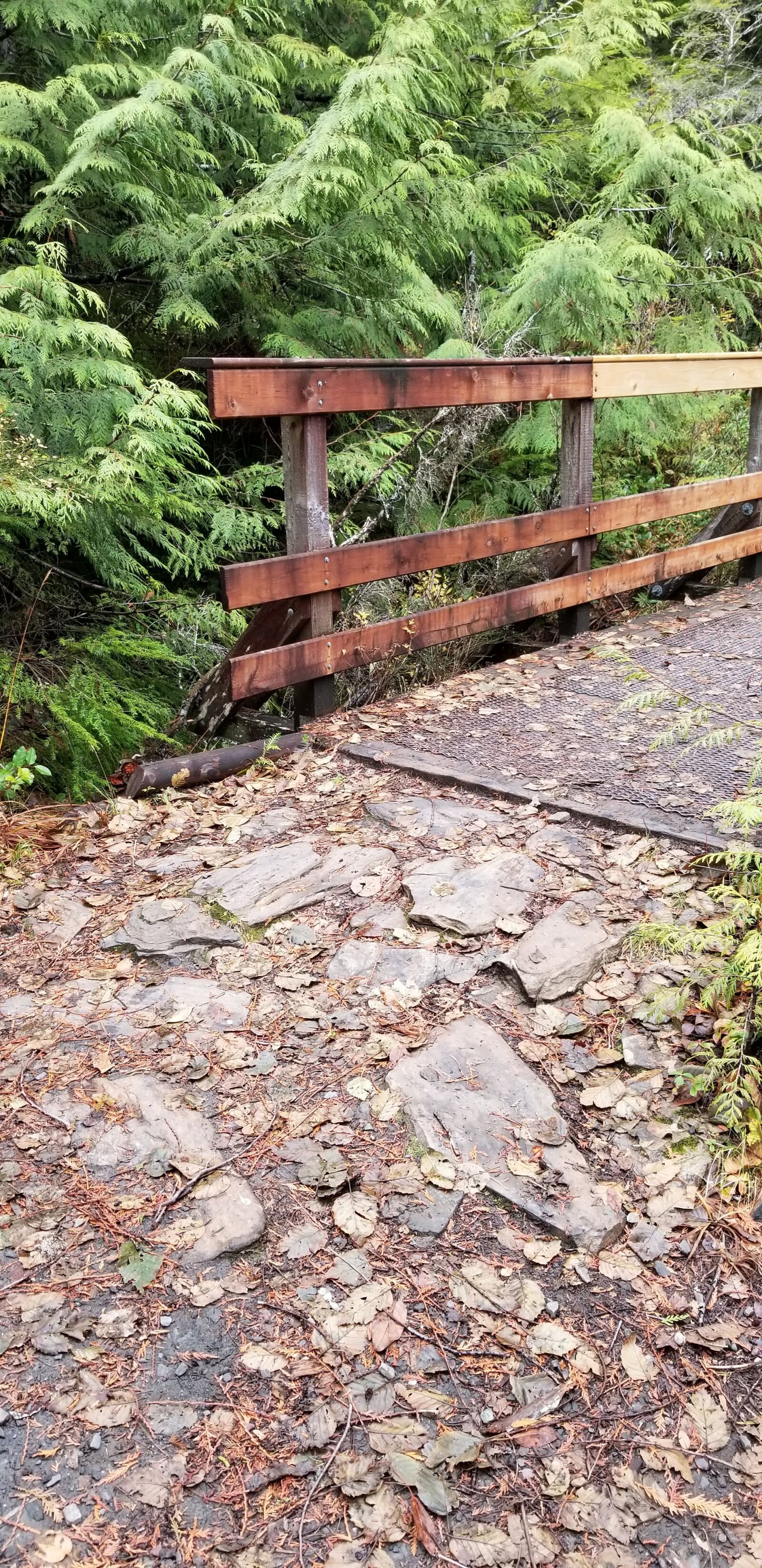 Samsung Galaxy S8 sample photo. Peaceful path, forest path photography