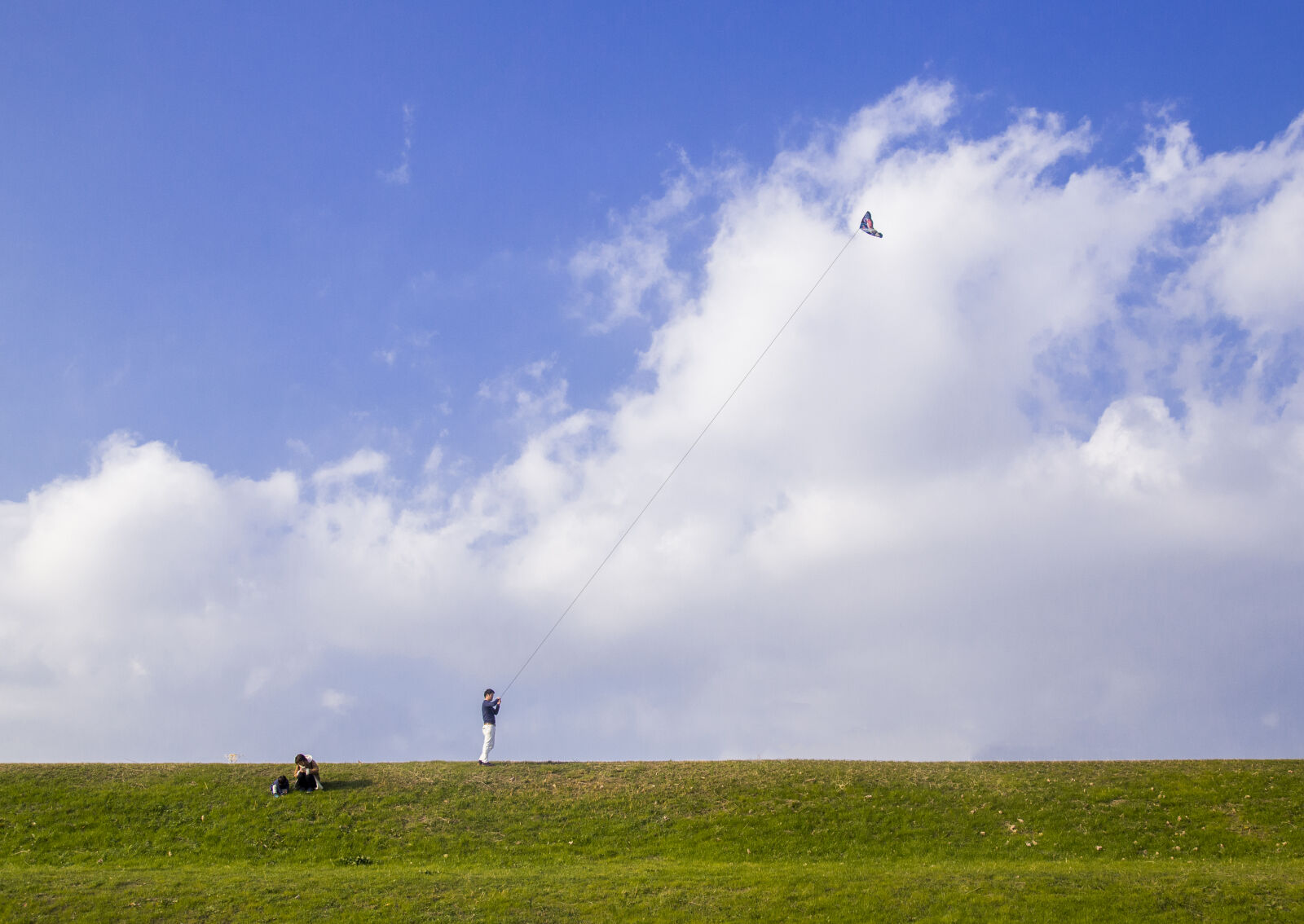 Canon EOS 6D + Canon EF 24-105mm F4L IS USM sample photo. Clouds, freedom, japan, kite photography