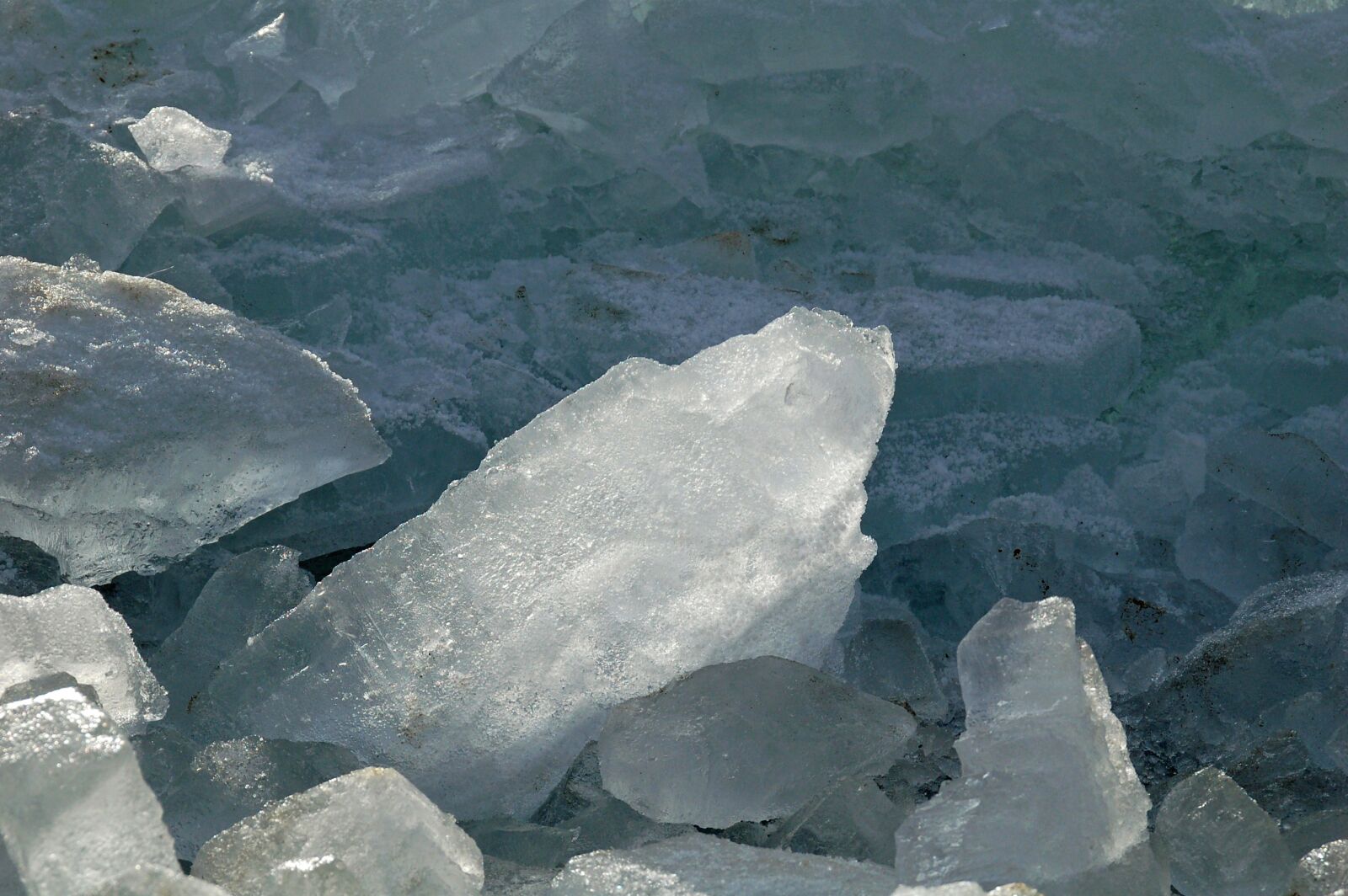 Nikon D50 sample photo. Ice, snow, frosty photography
