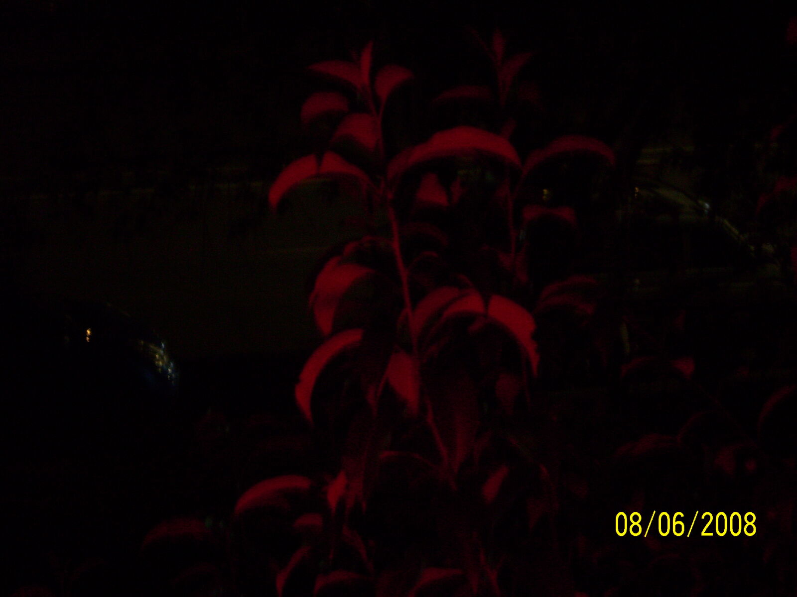 Kodak EASYSHARE M1073 IS DIGITAL CAMERA sample photo